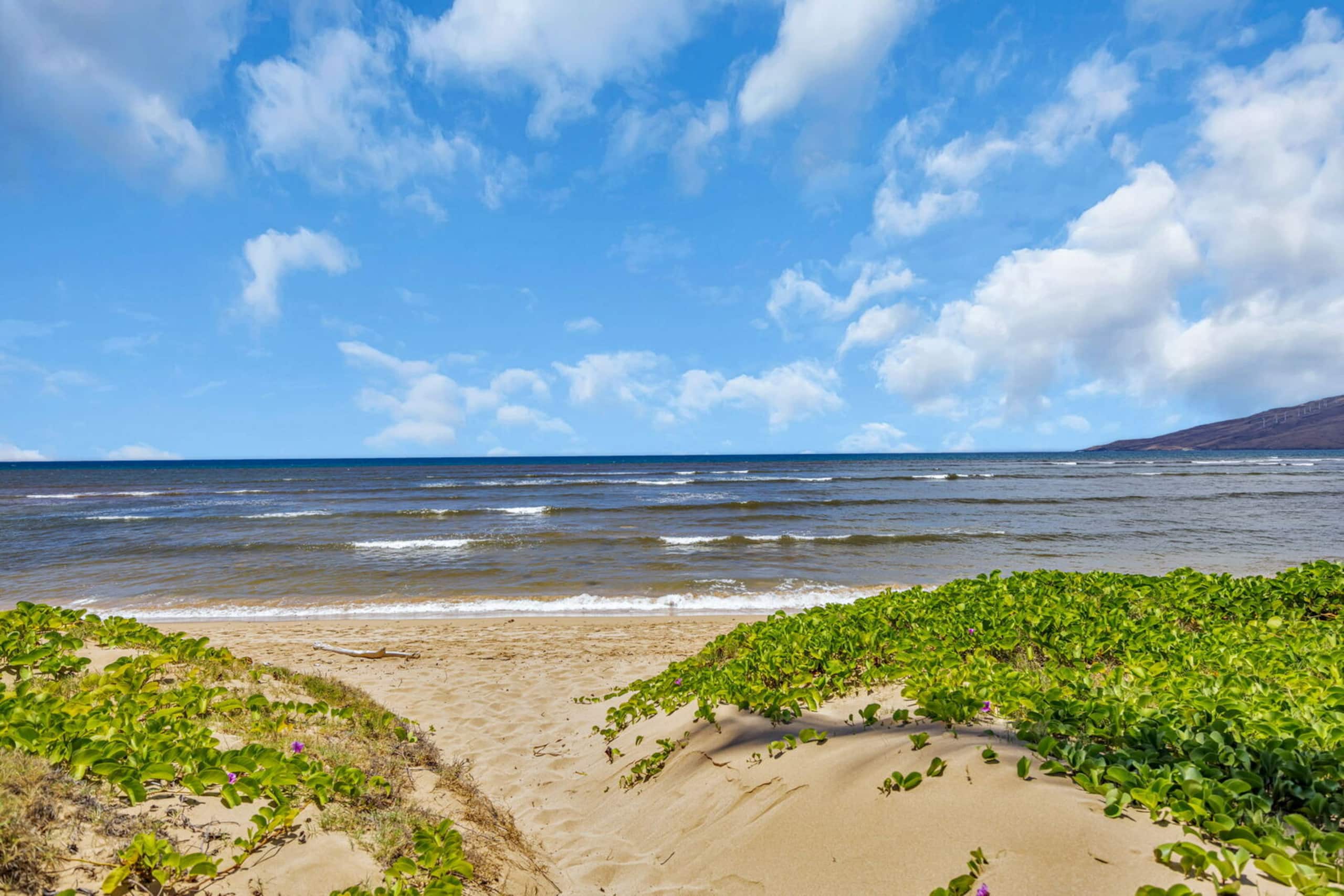 Condo in Kihei · ★4.72 · 1 bedroom · 1 bed · 1 bath - Image 25