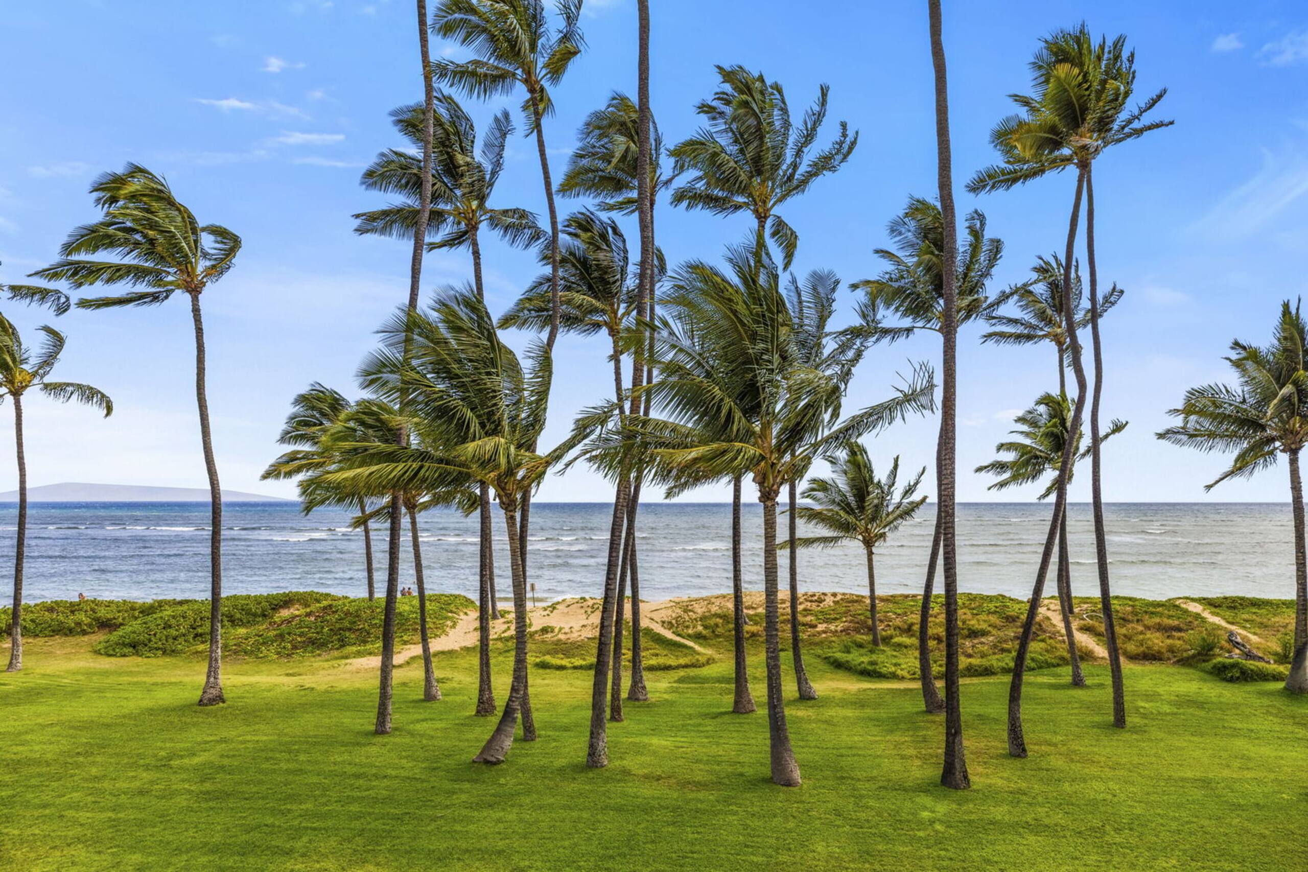 Condo in Kihei · ★4.72 · 1 bedroom · 1 bed · 1 bath - Image 38