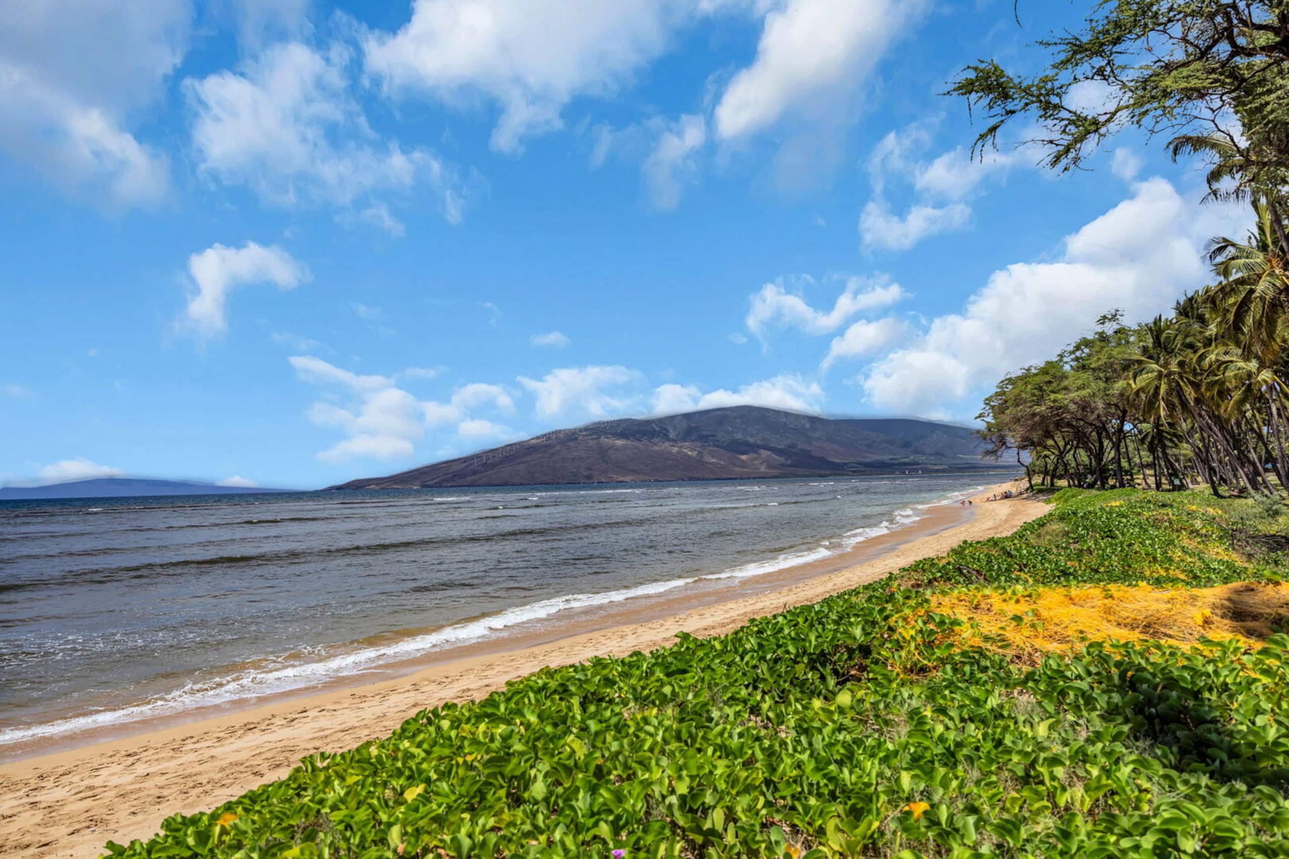 Condo in Kihei · ★4.72 · 1 bedroom · 1 bed · 1 bath - Image 26