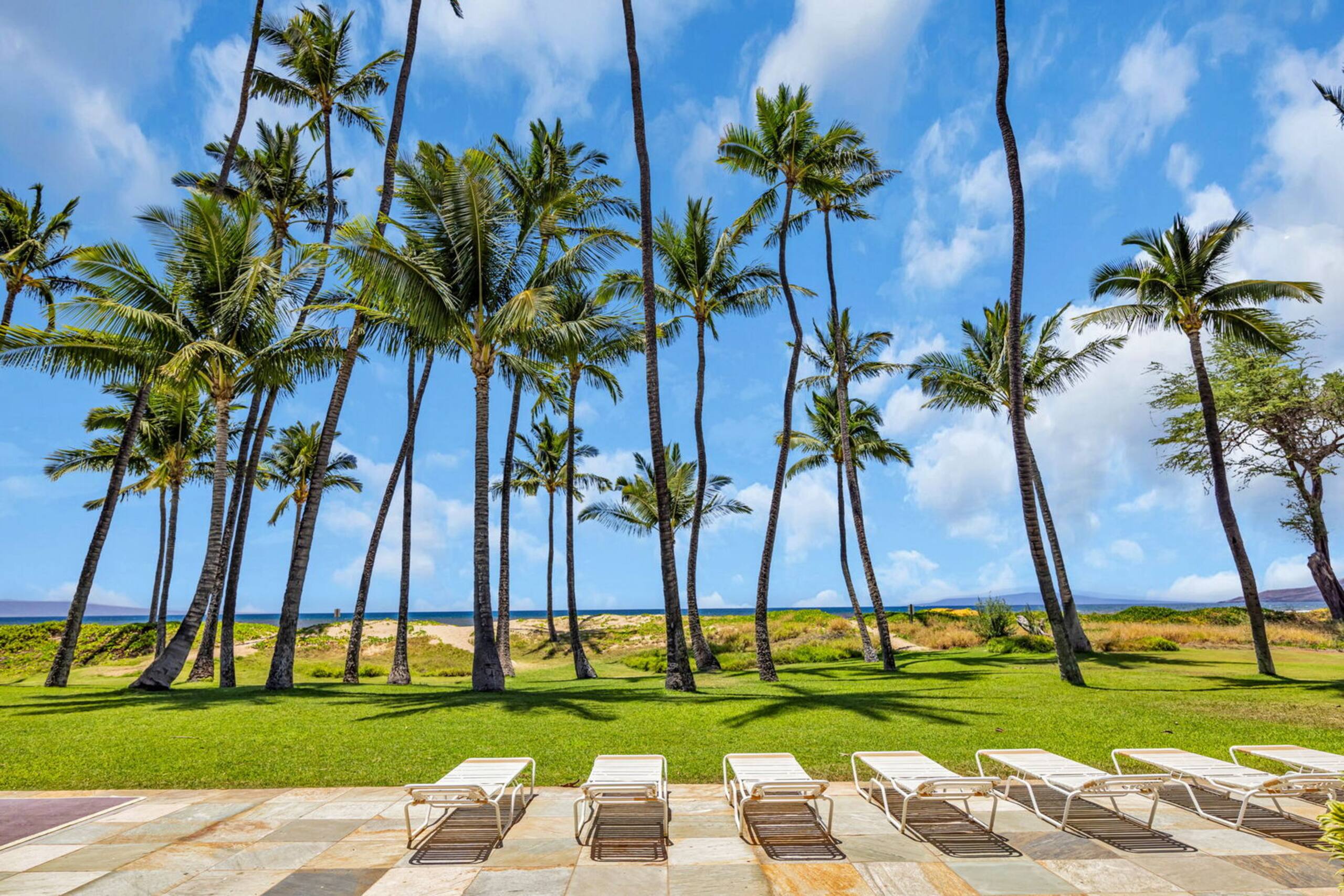 Condo in Kihei · ★4.72 · 1 bedroom · 1 bed · 1 bath - Image 21
