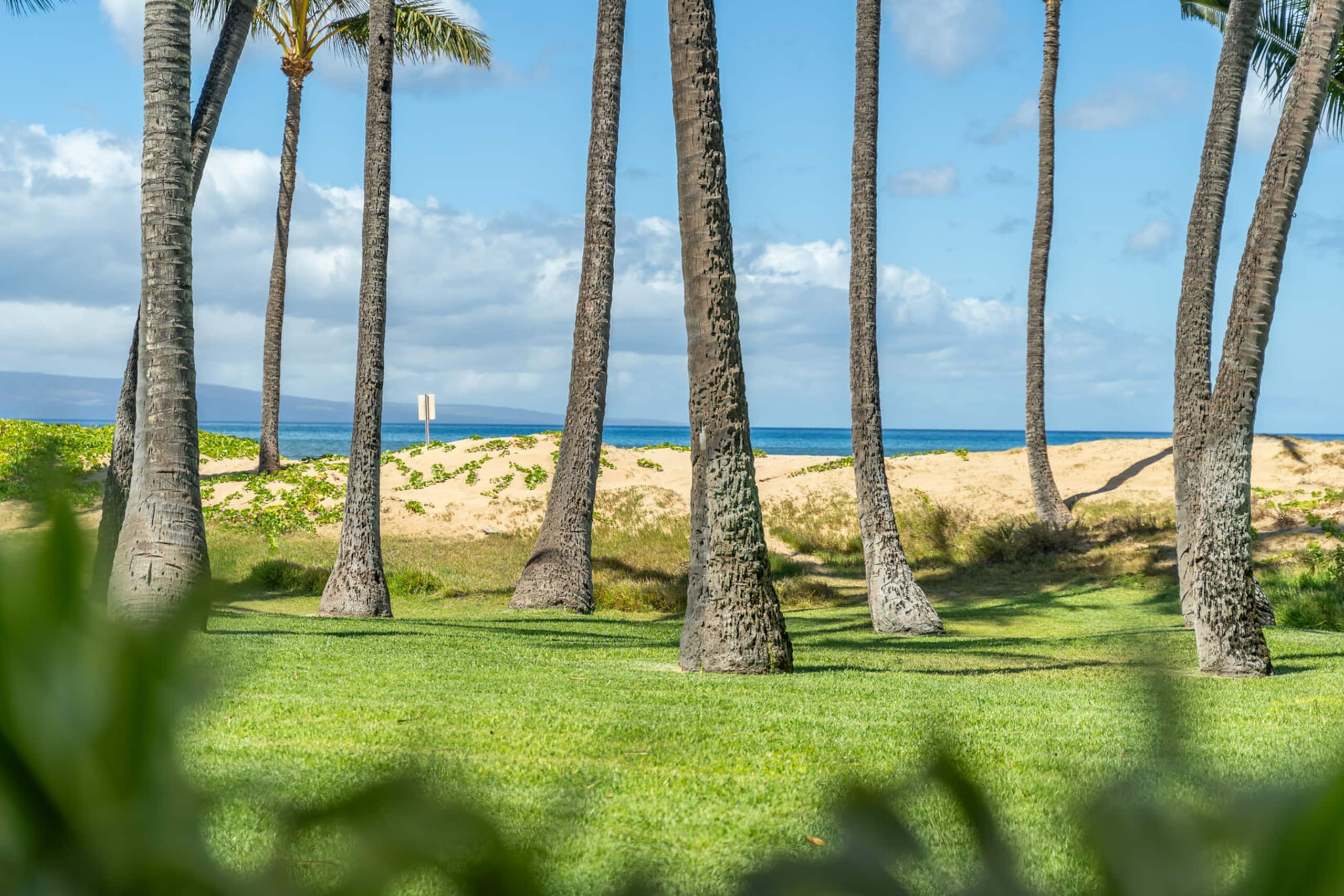 Condo in Kihei · ★4.5 · 1 bedroom · 2 beds · 1 bath - Image 36