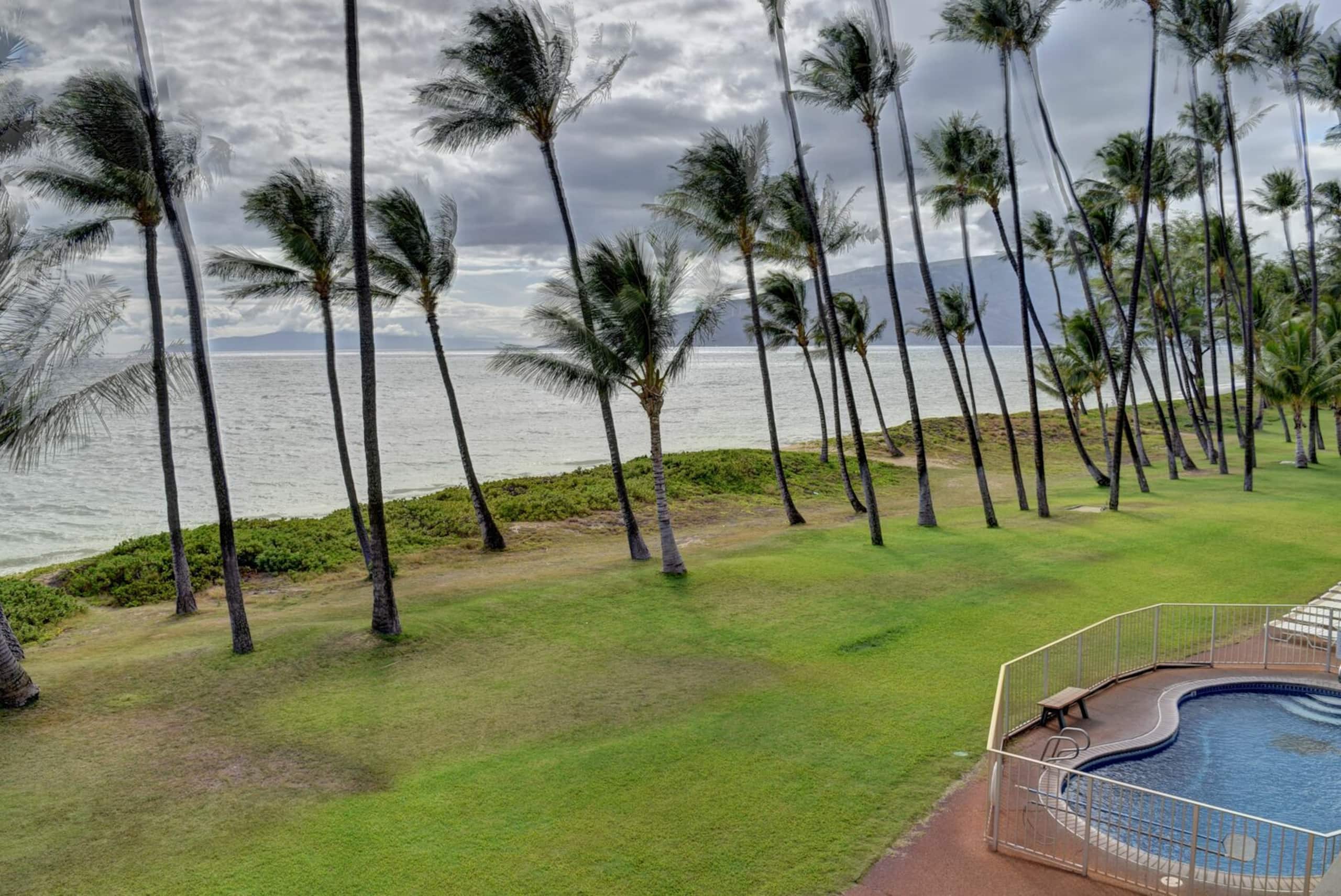 Condo in Kihei · ★4.0 · 1 bedroom · 2 beds · 1 bath - Image 14