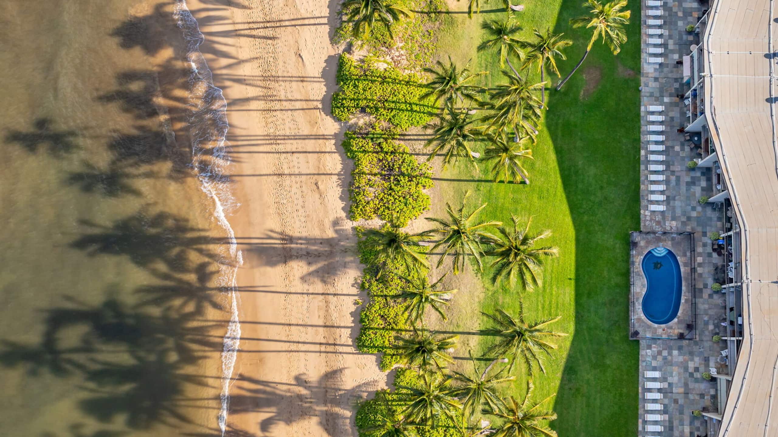 Top floor ocean view (Hkok 317) - Image 44