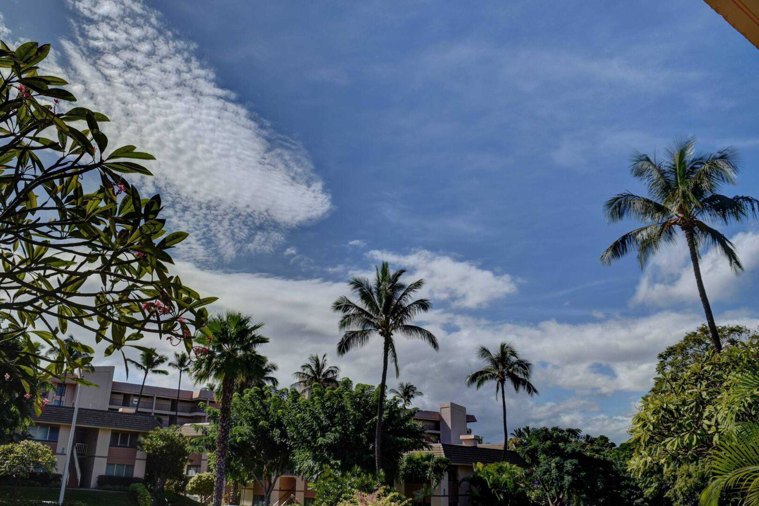 Condo in Kihei · ★4.42 · 1 bedroom · 2 beds · 1 bath - Image 17