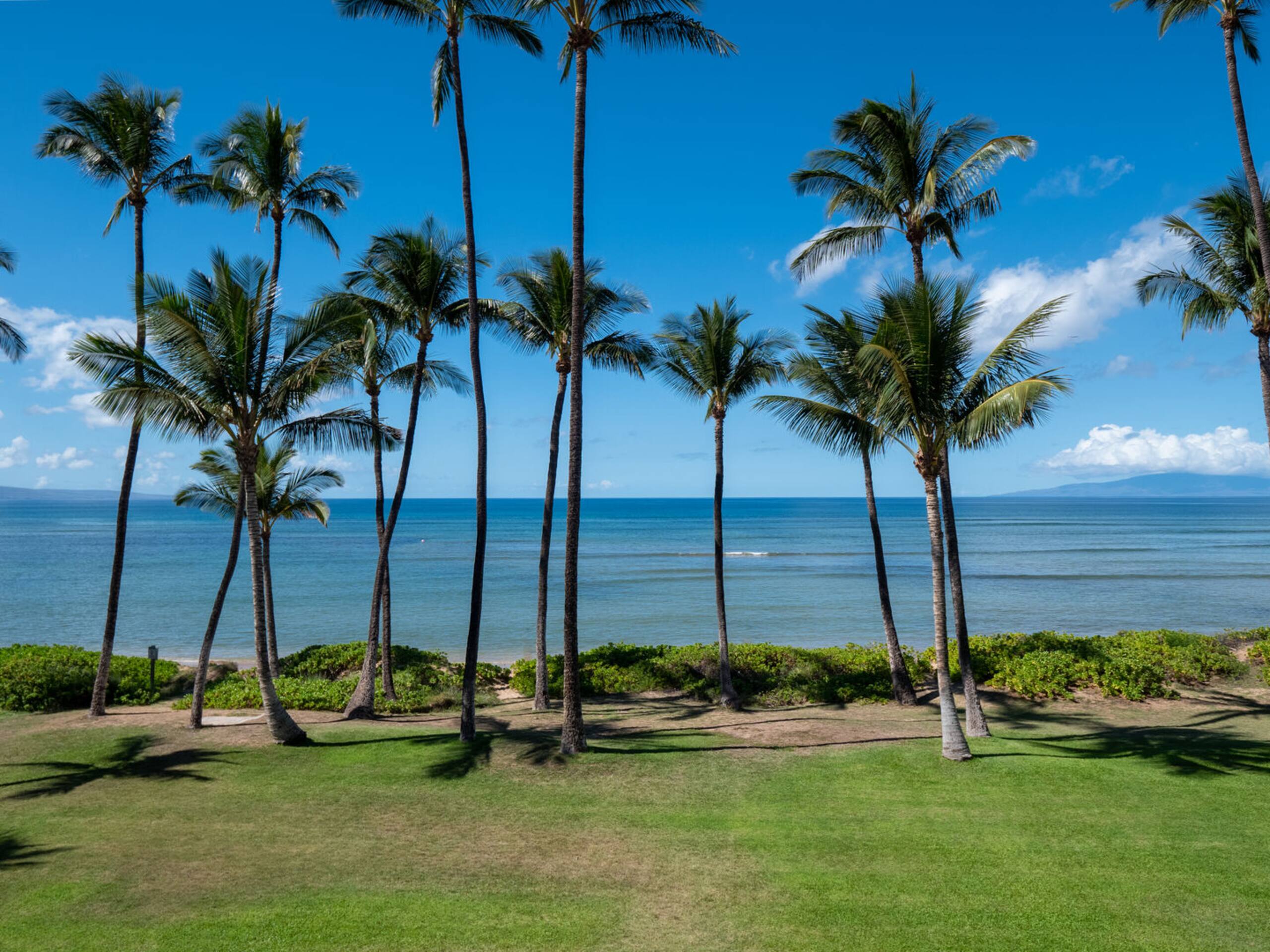 Condo in Kihei · ★4.41 · 2 bedrooms · 3 beds · 2 baths - Image 14