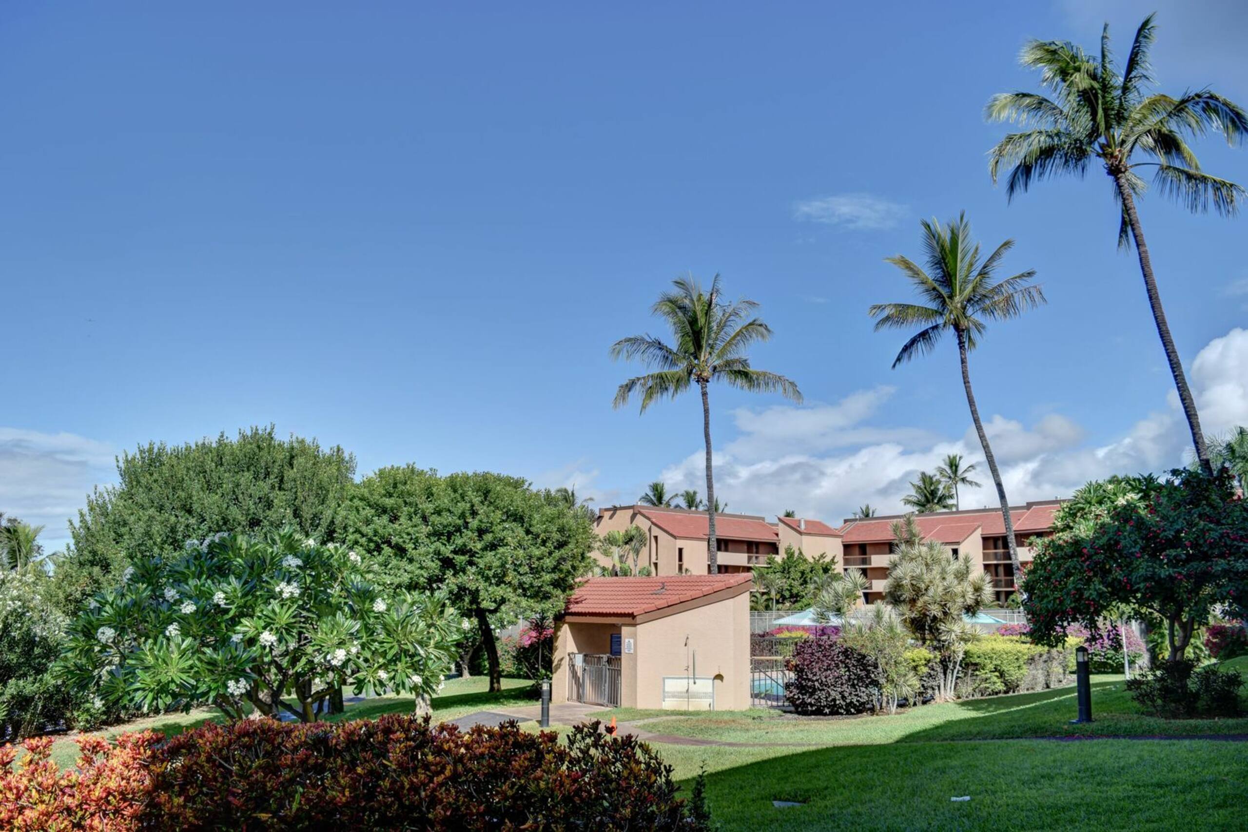 Condo in Kihei · ★4.5 · 1 bedroom · 2 beds · 1 bath - Image 15