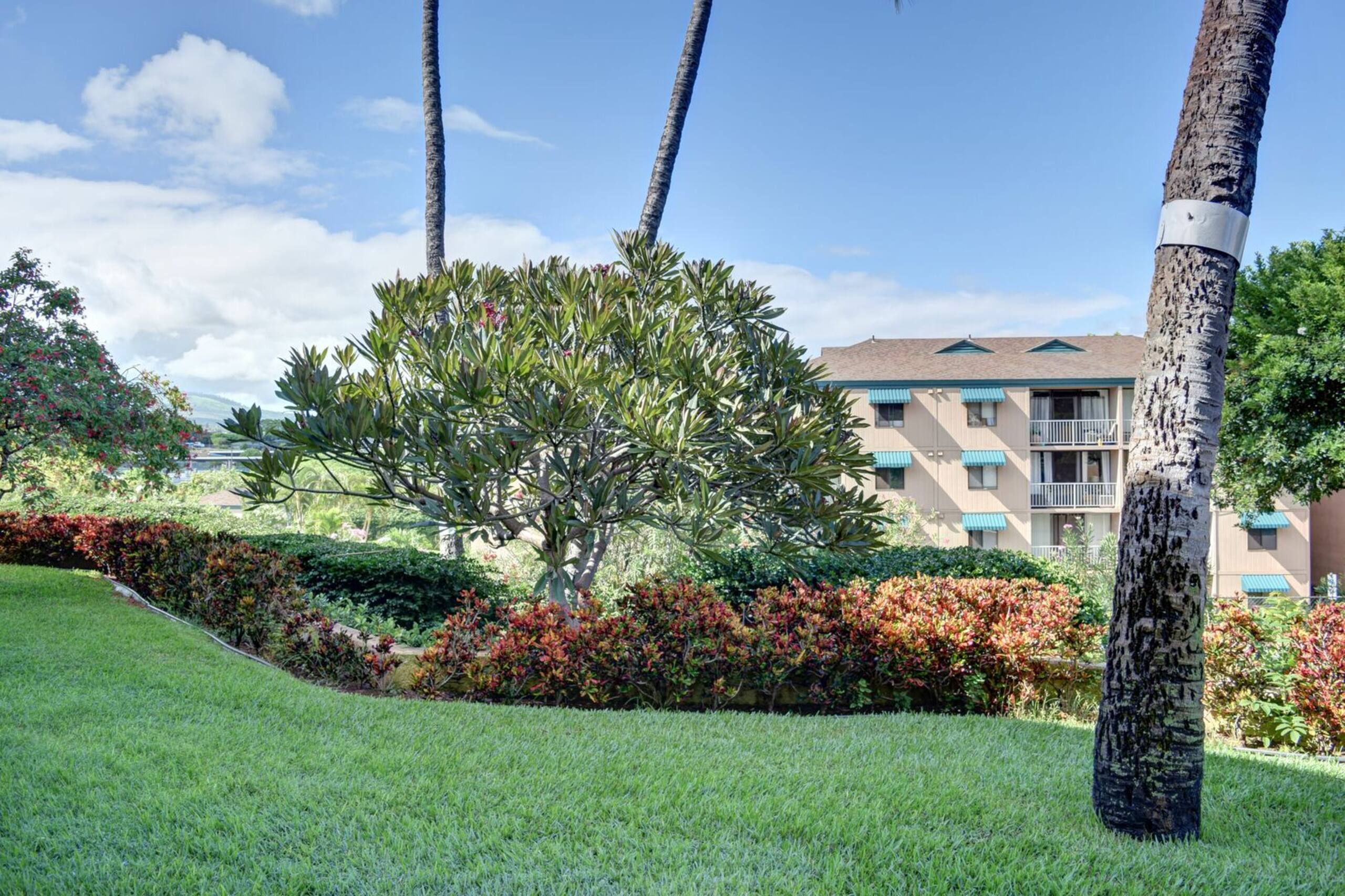 Condo in Kihei · ★4.5 · 1 bedroom · 2 beds · 1 bath - Image 14