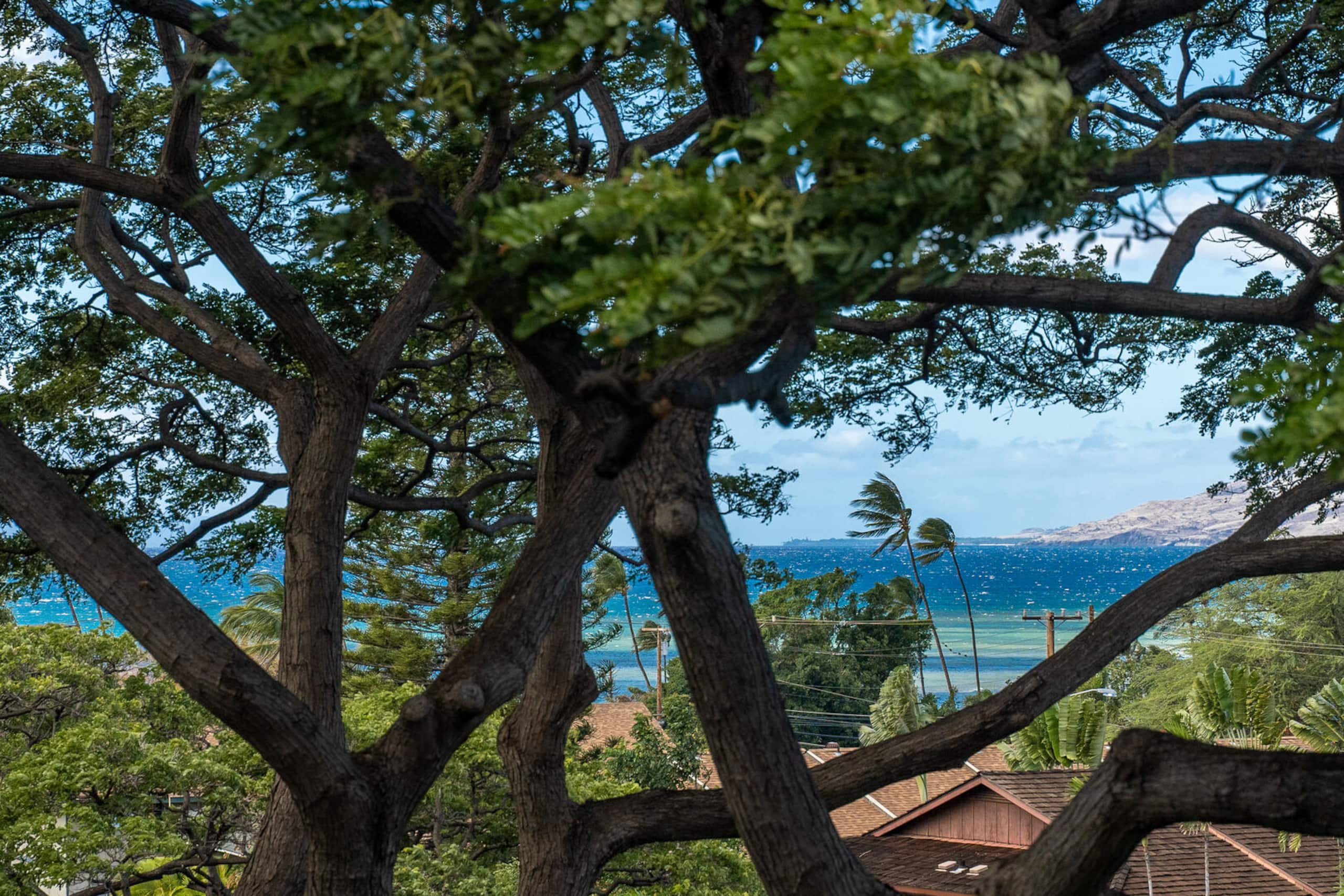 Condo in Kihei · ★4.55 · 2 bedrooms · 2 beds · 2 private baths - Image 43