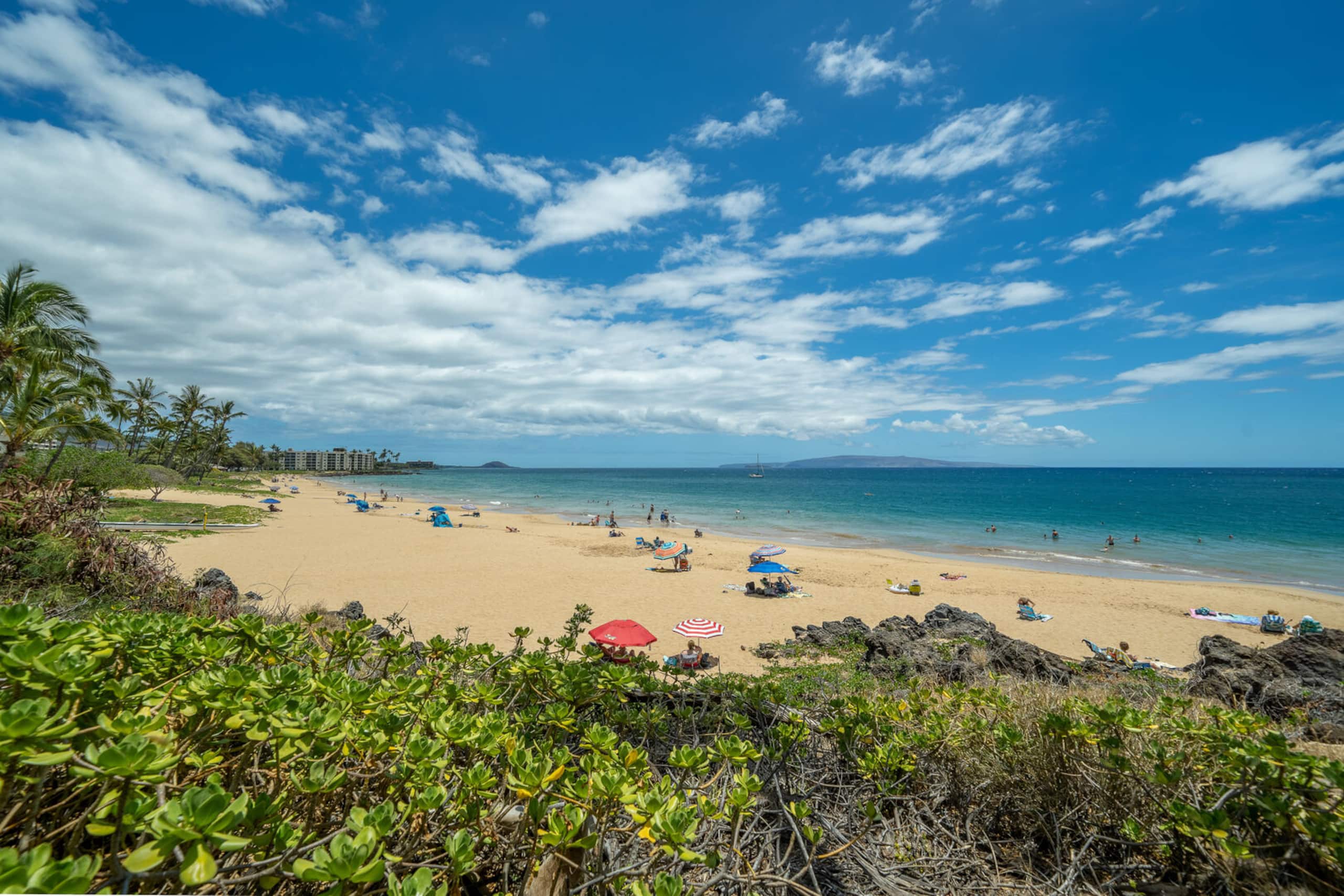 Condo in Kihei · ★4.55 · 2 bedrooms · 2 beds · 2 private baths - Image 50