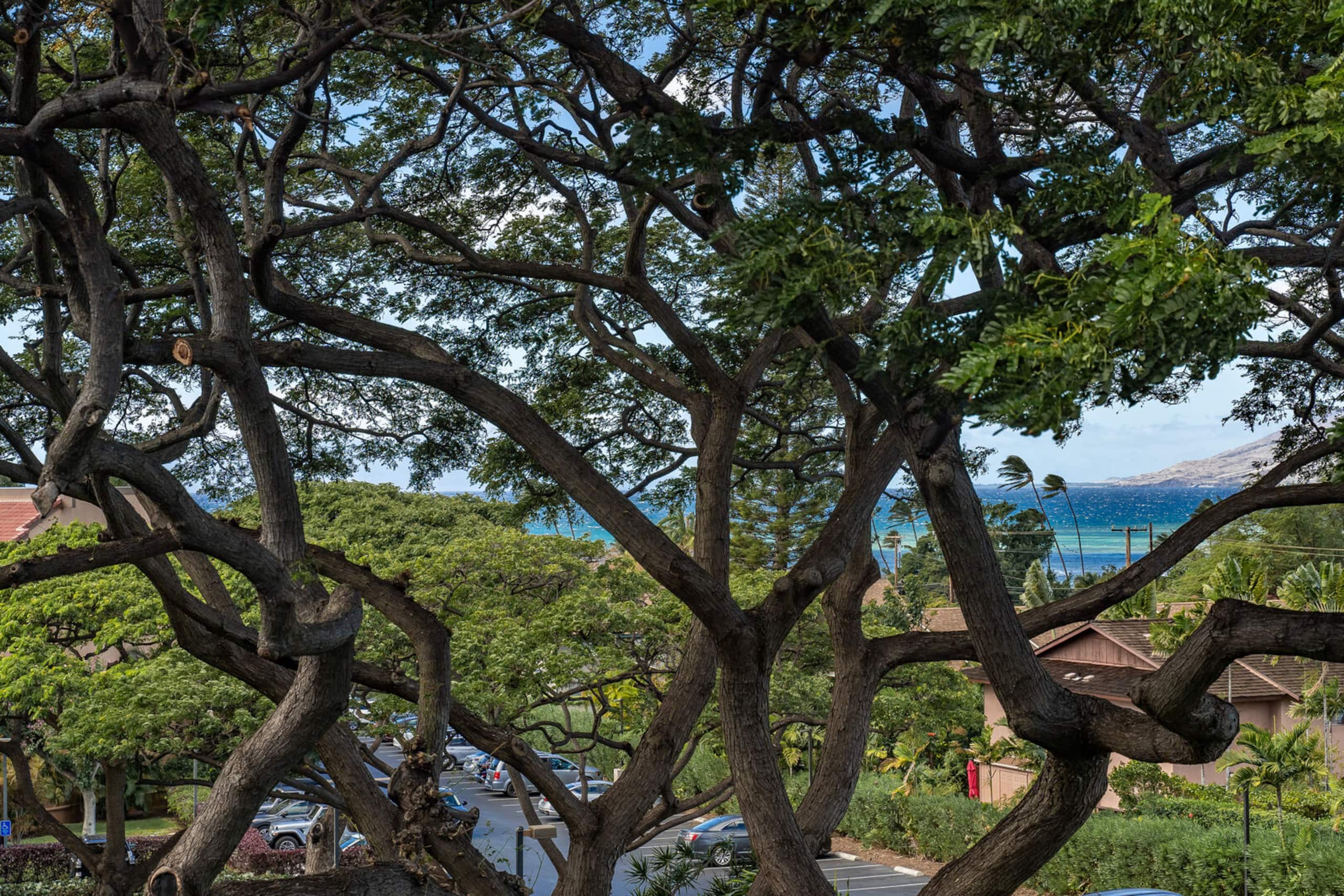 Condo in Kihei · ★4.55 · 2 bedrooms · 2 beds · 2 private baths - Image 42