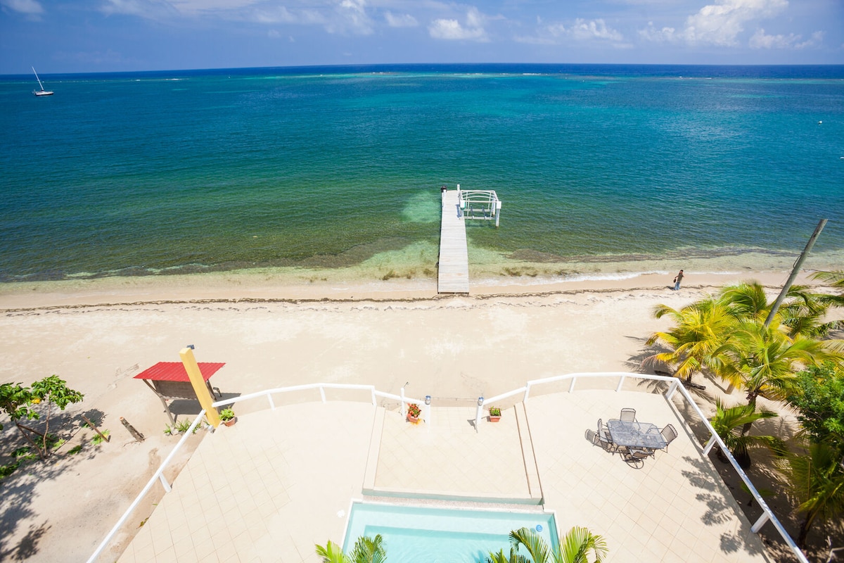 An expansive view of the tranquil sea and sandy beach is captured from above. A private dock extends into the water, while a spacious rooftop patio with a plunge pool is visible. Lush palm trees line the area, enhancing the coastal ambiance.