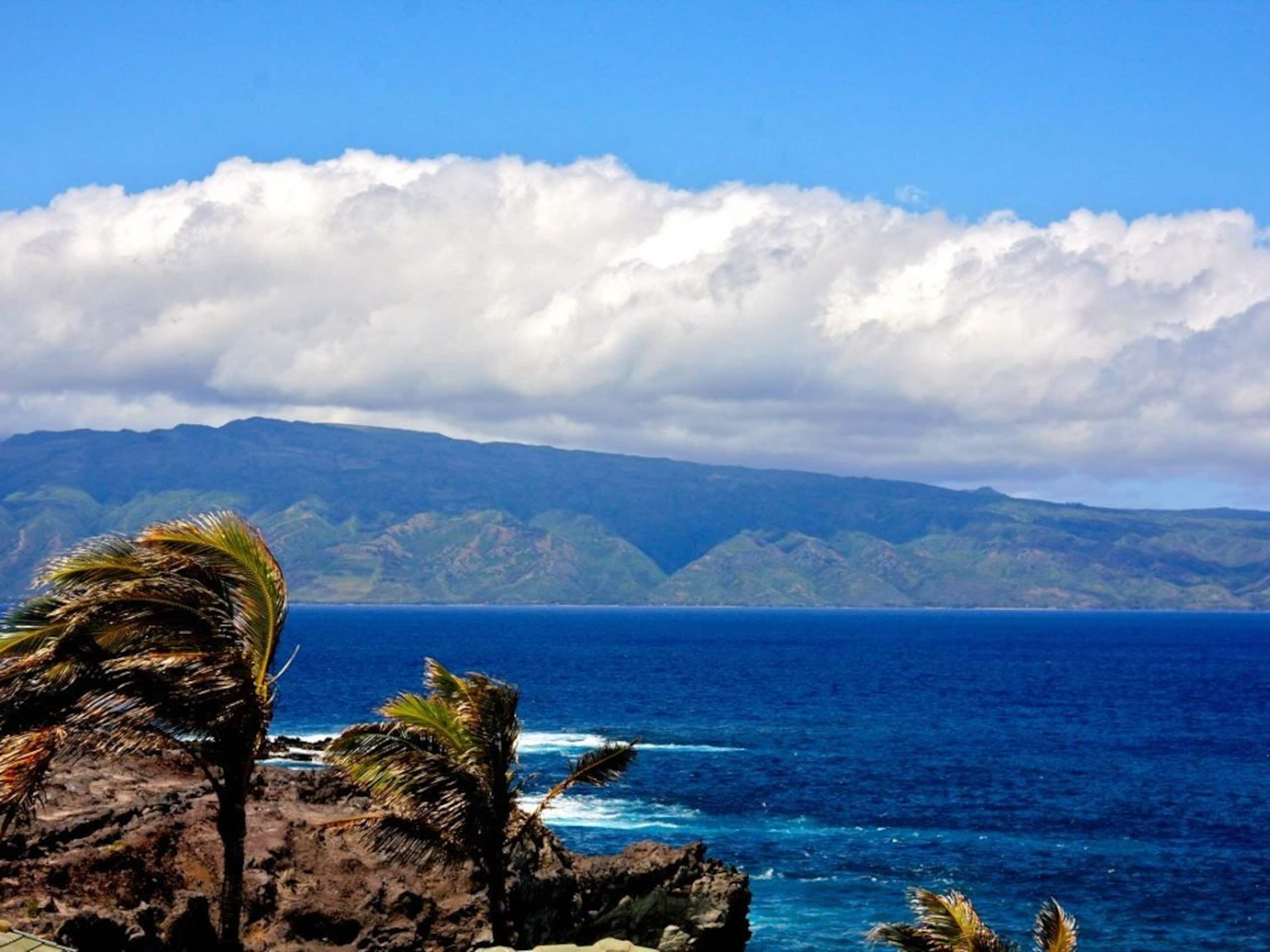 Villa in Lahaina · ★5.0 · 2 bedrooms · 3 beds · 3 baths - Image 17