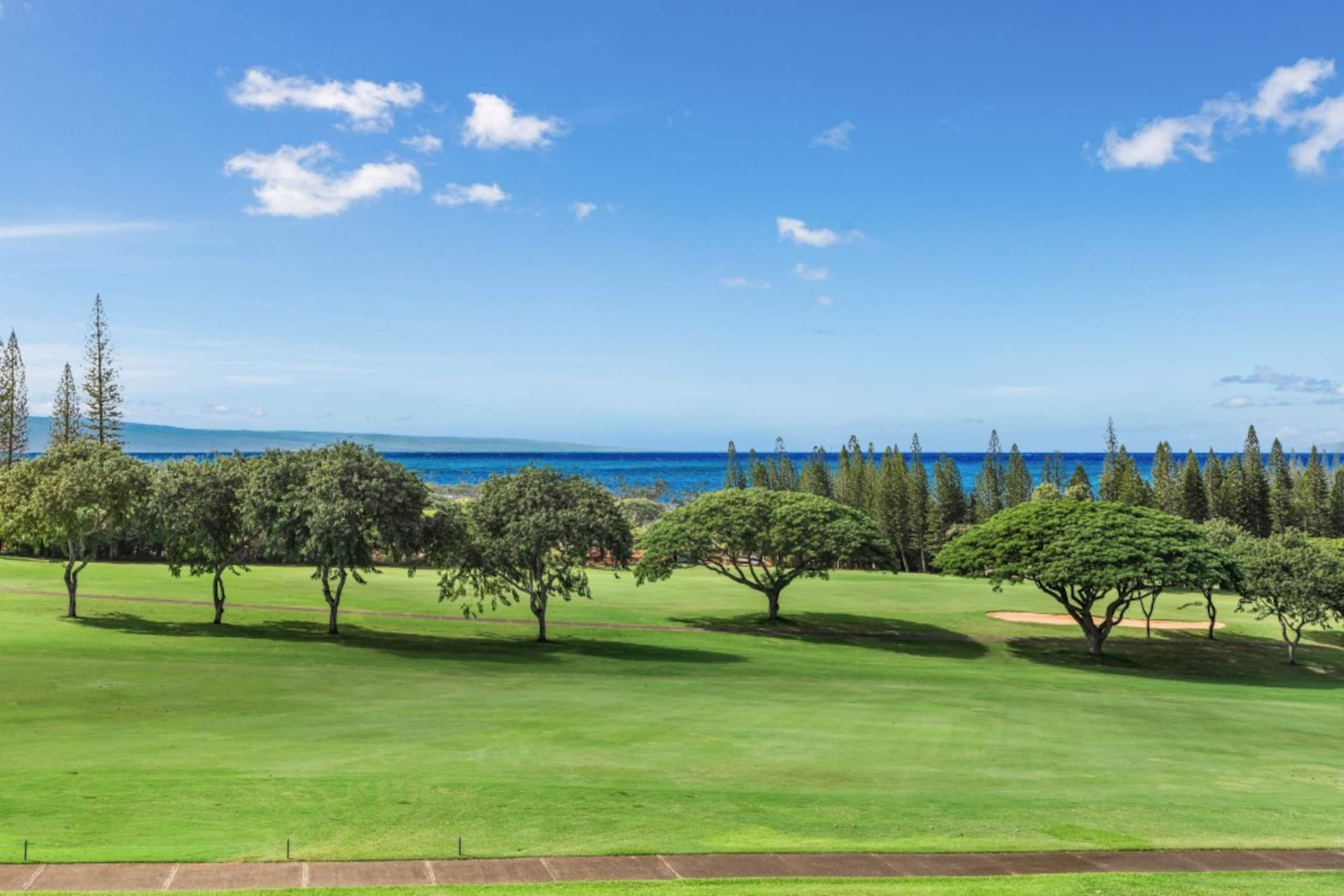 Villa in Lahaina · ★5.0 · 1 bedroom · 1 bed · 1.5 baths - Image 12
