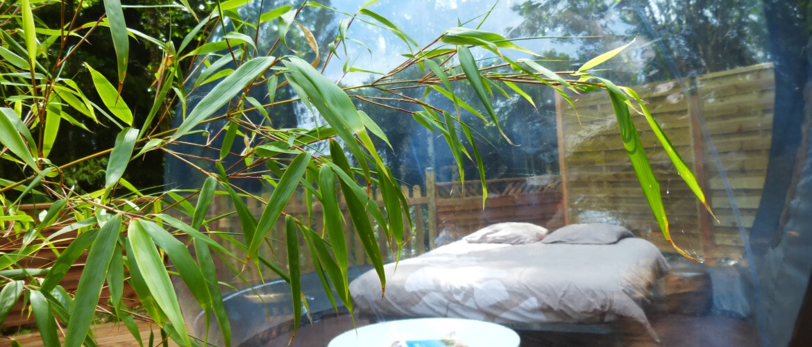 A transparent bubble showcases a spacious bed with soft linens, surrounded by greenery. A bamboo branch is visible in the foreground, adding a natural touch. Outside, a wooden fence and trees are partially seen, creating a harmonious blend with the environment.