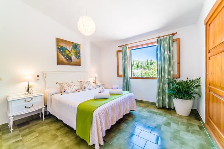 Habitación 1