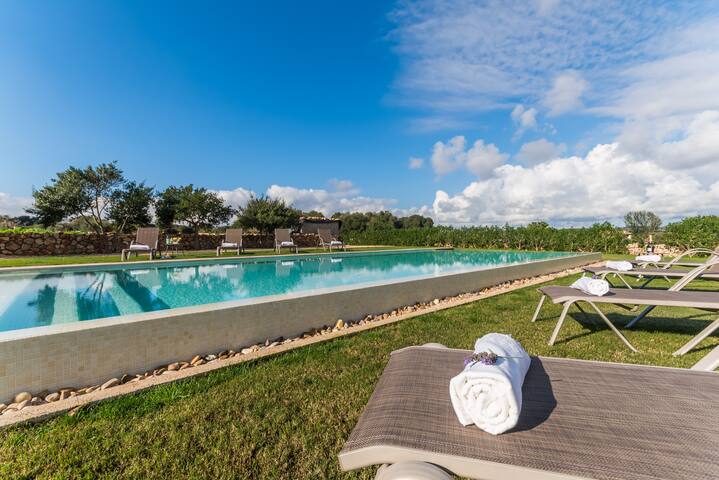 Pleta – Ideal Property Mallorca gallery image 5