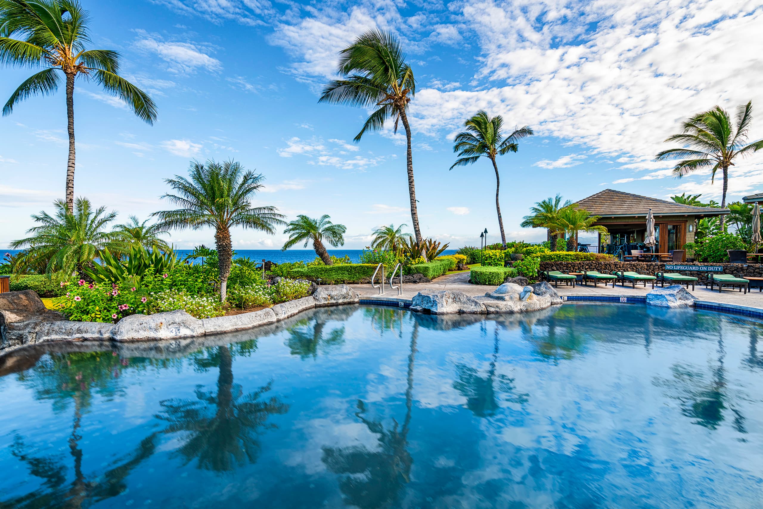 Ocean Front Pool Club. 24H Halii Kai - Photo 36