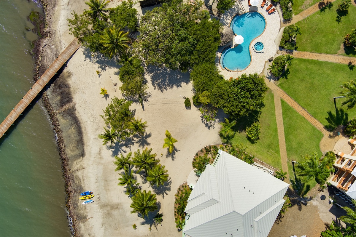 An aerial view reveals a sandy beach bordered by lush palm trees and an inviting infinity pool. A wooden pier extends into the water, while well-maintained grounds showcase manicured paths and vibrant greenery. Kayaks are visible by the water's edge, offering accessibility to aquatic adventures.