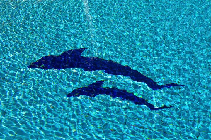 Villa Olivia Clara gallery image 5