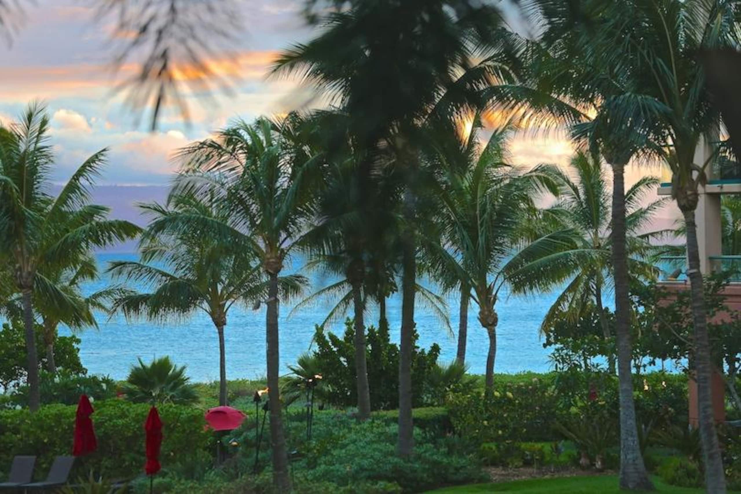 Condo in Lahaina · ★4.92 · 1 bedroom · 2 beds · 1 bath - Image 20
