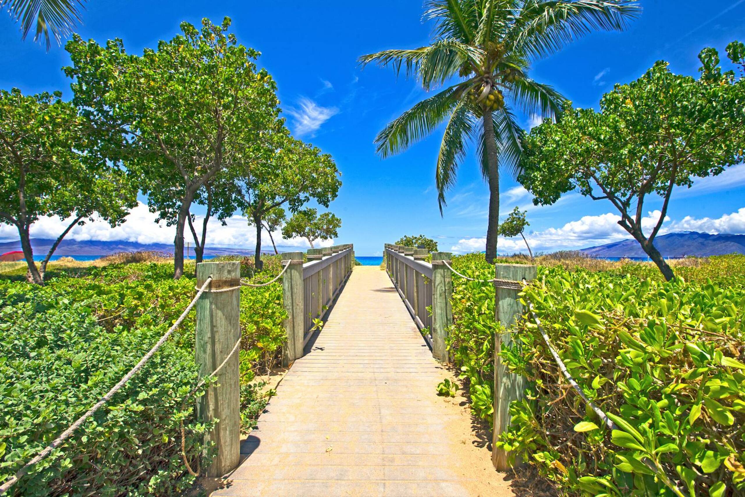 Condo in Lahaina · ★4.92 · 1 bedroom · 2 beds · 1 bath - Image 23