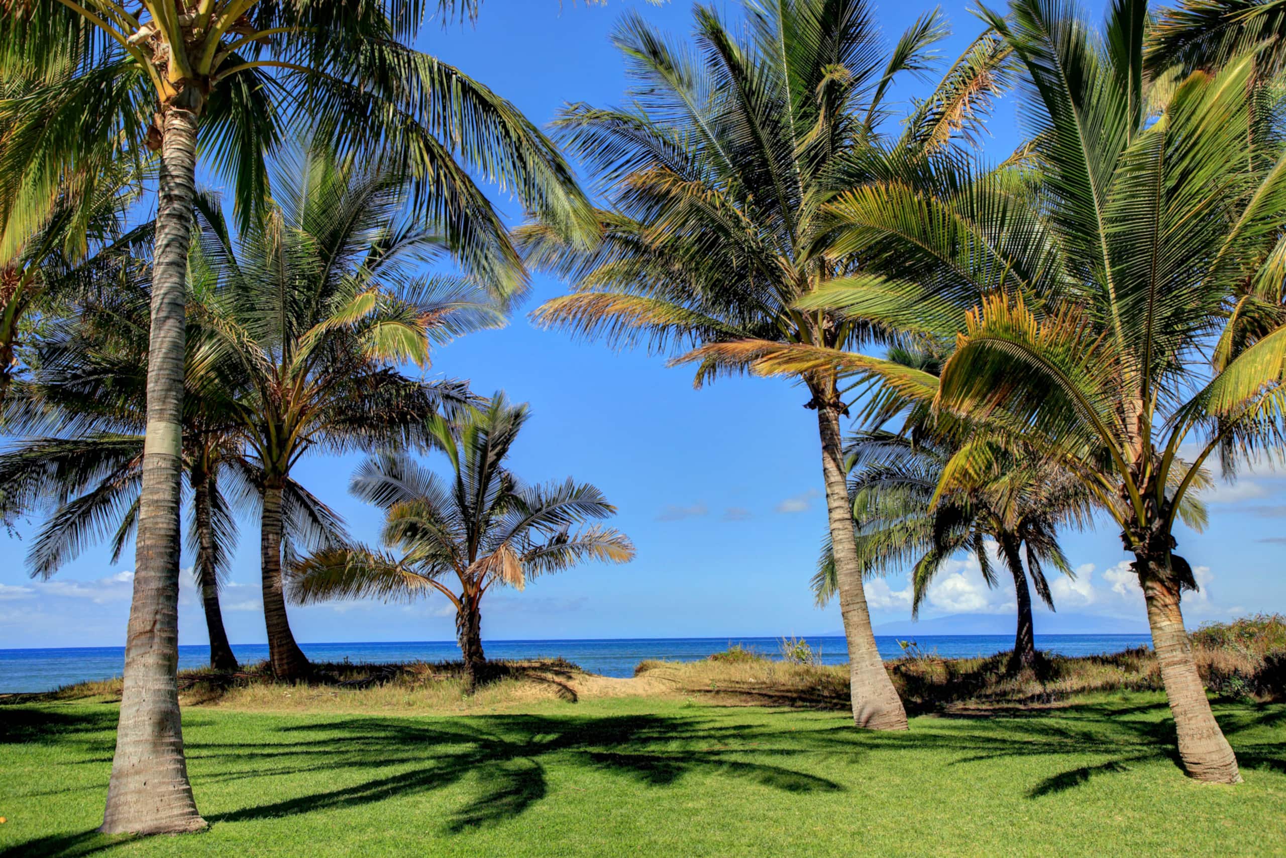 Home in Kihei · ★4.76 · 4 bedrooms · 9 beds · 3.5 baths - Image 14