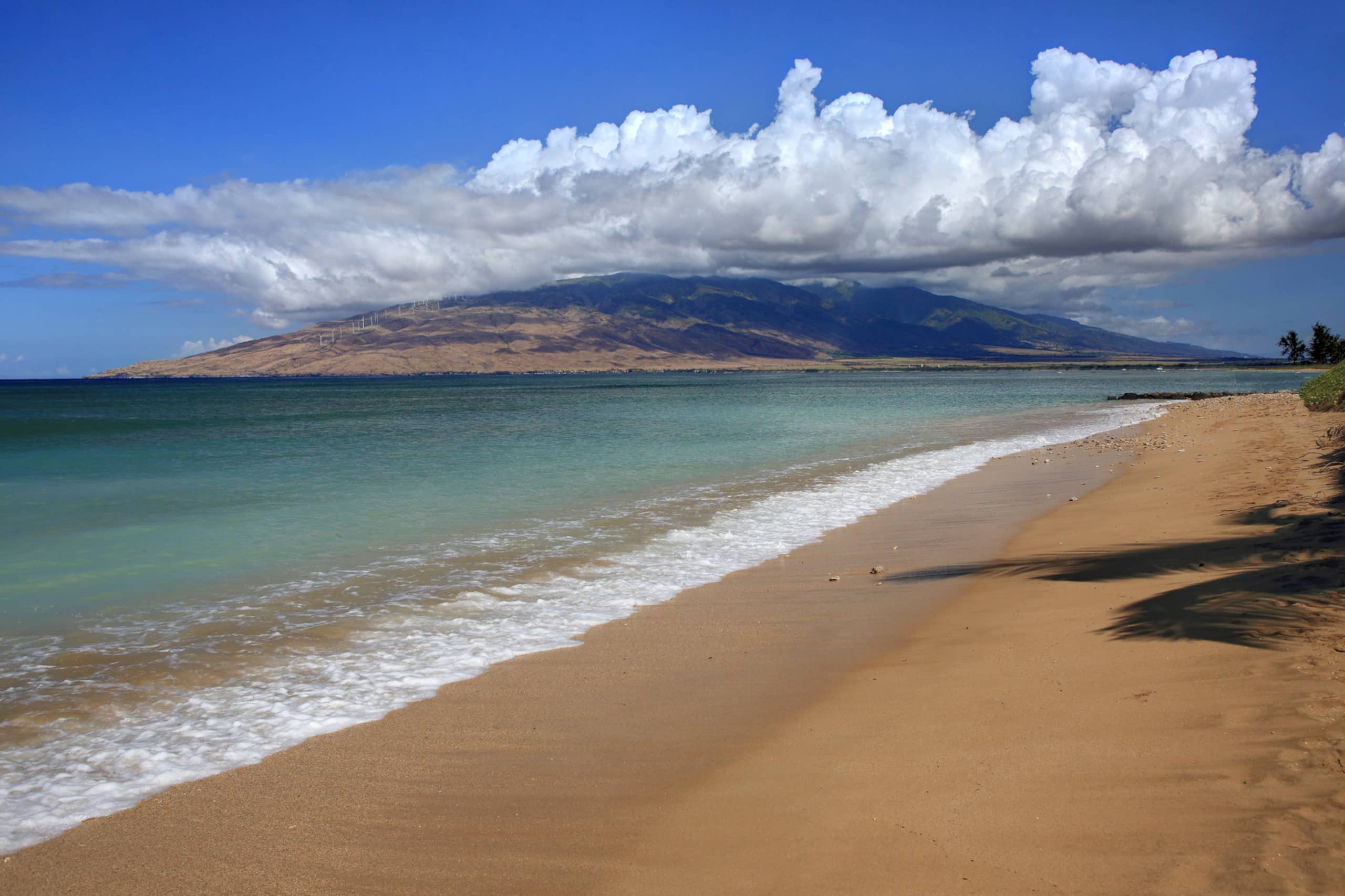 Home in Kihei · ★4.76 · 4 bedrooms · 9 beds · 3.5 baths - Image 15