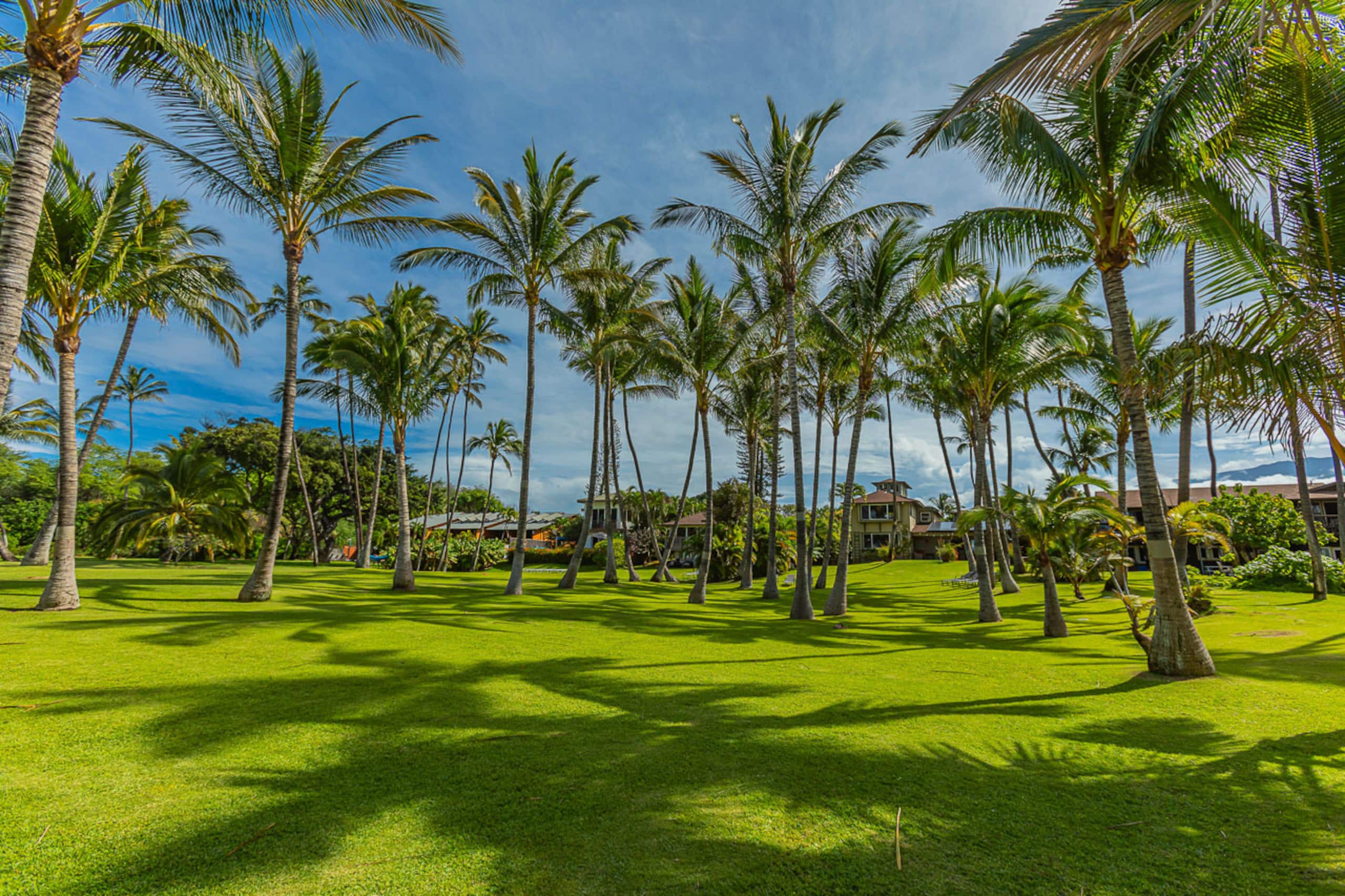 Home in Kihei · ★4.76 · 4 bedrooms · 9 beds · 3.5 baths - Image 60