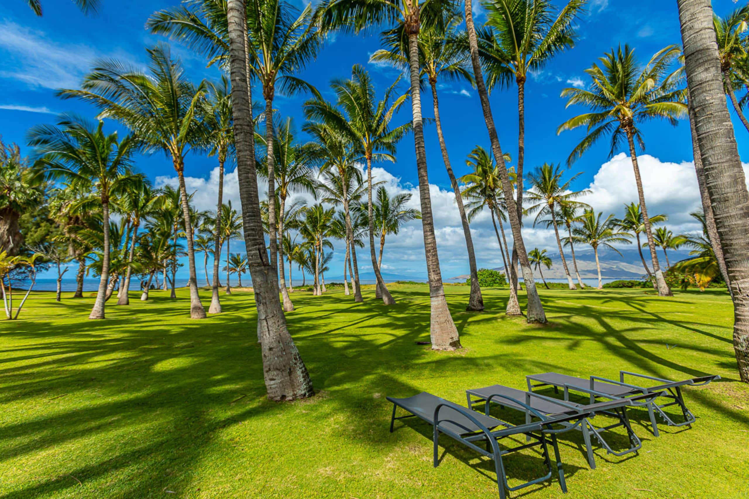 Home in Kihei · ★4.76 · 4 bedrooms · 9 beds · 3.5 baths - Image 57