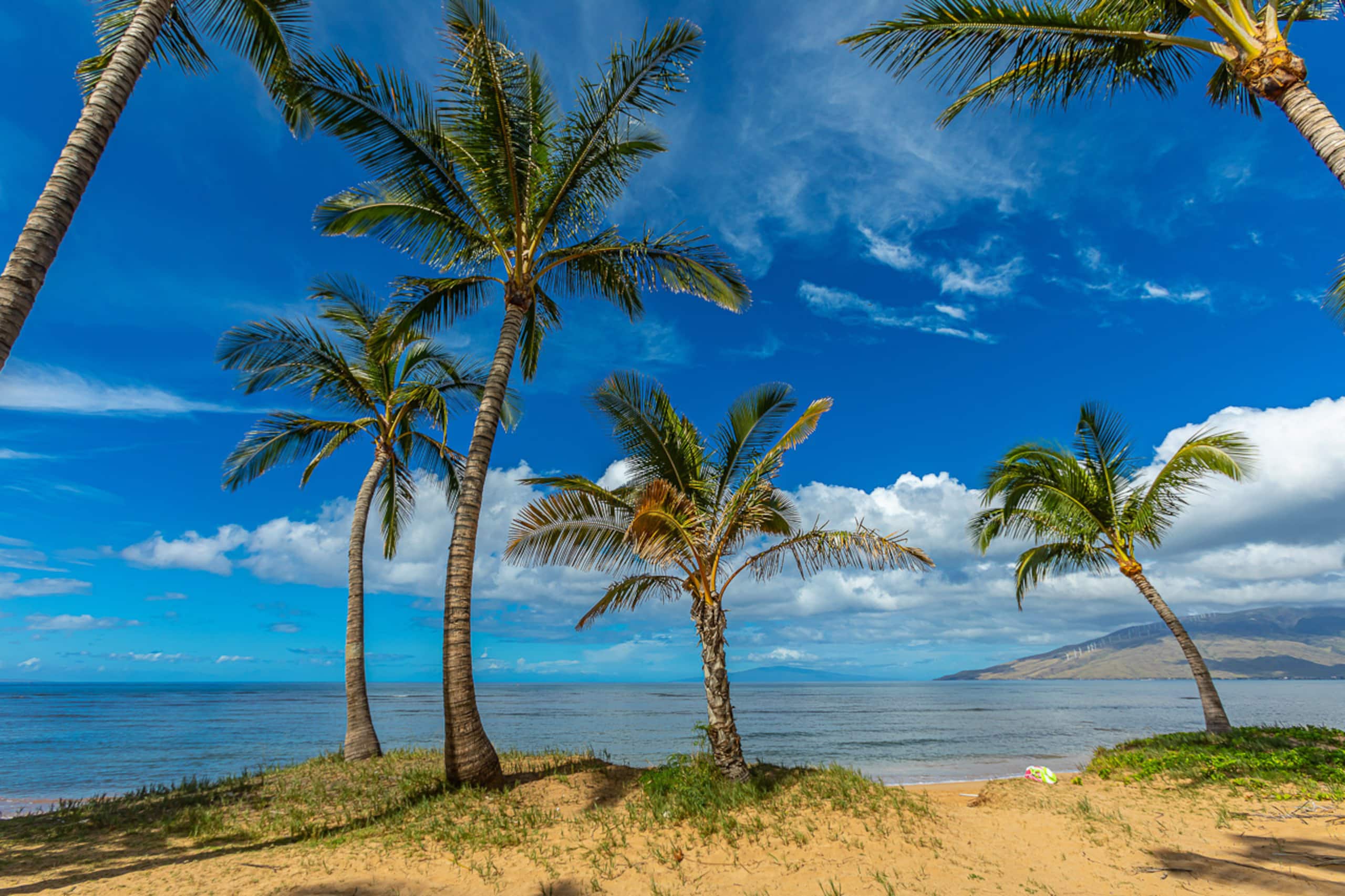 Home in Kihei · ★4.76 · 4 bedrooms · 9 beds · 3.5 baths - Image 56