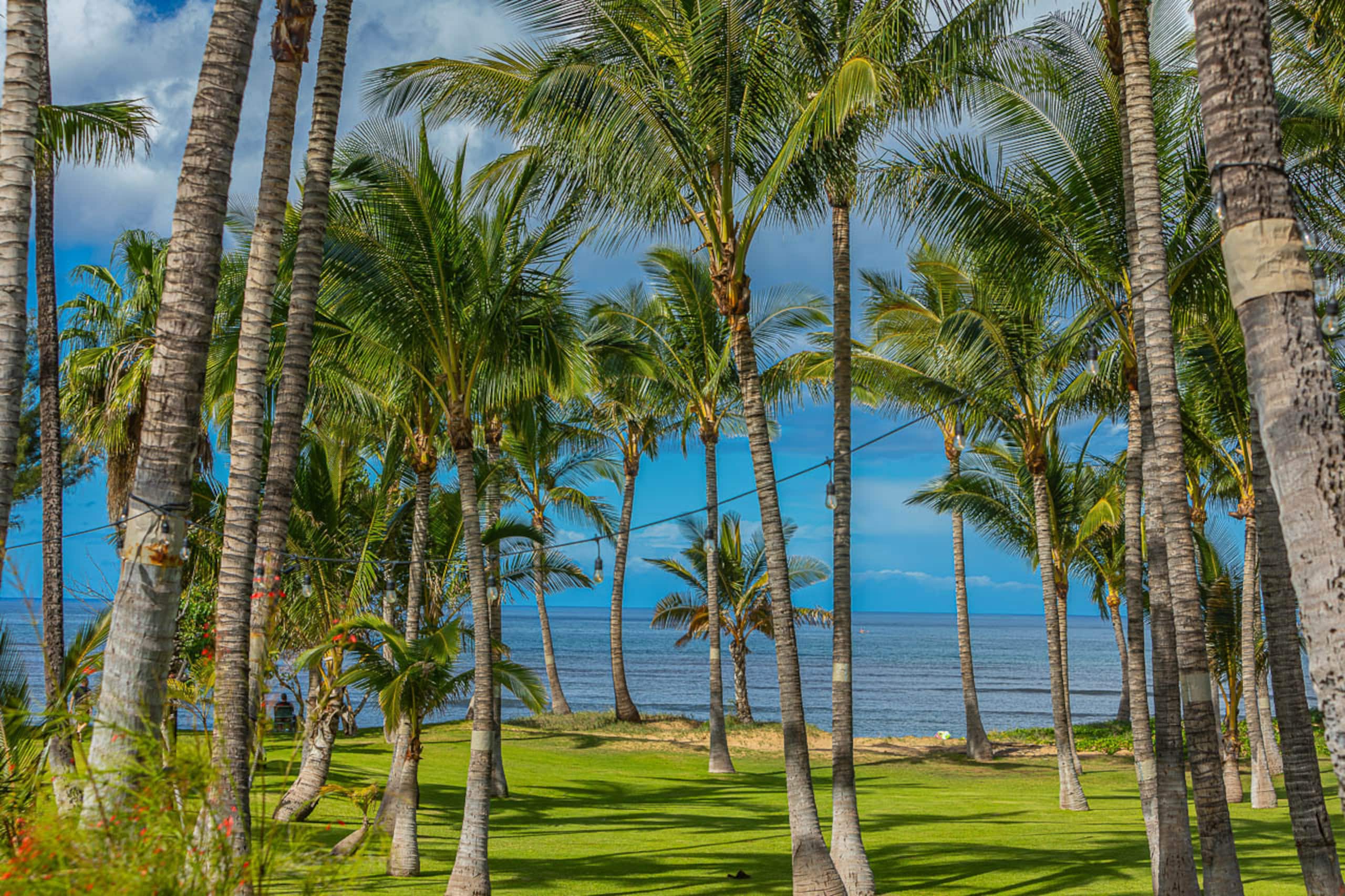 Home in Kihei · ★4.76 · 4 bedrooms · 9 beds · 3.5 baths - Image 63