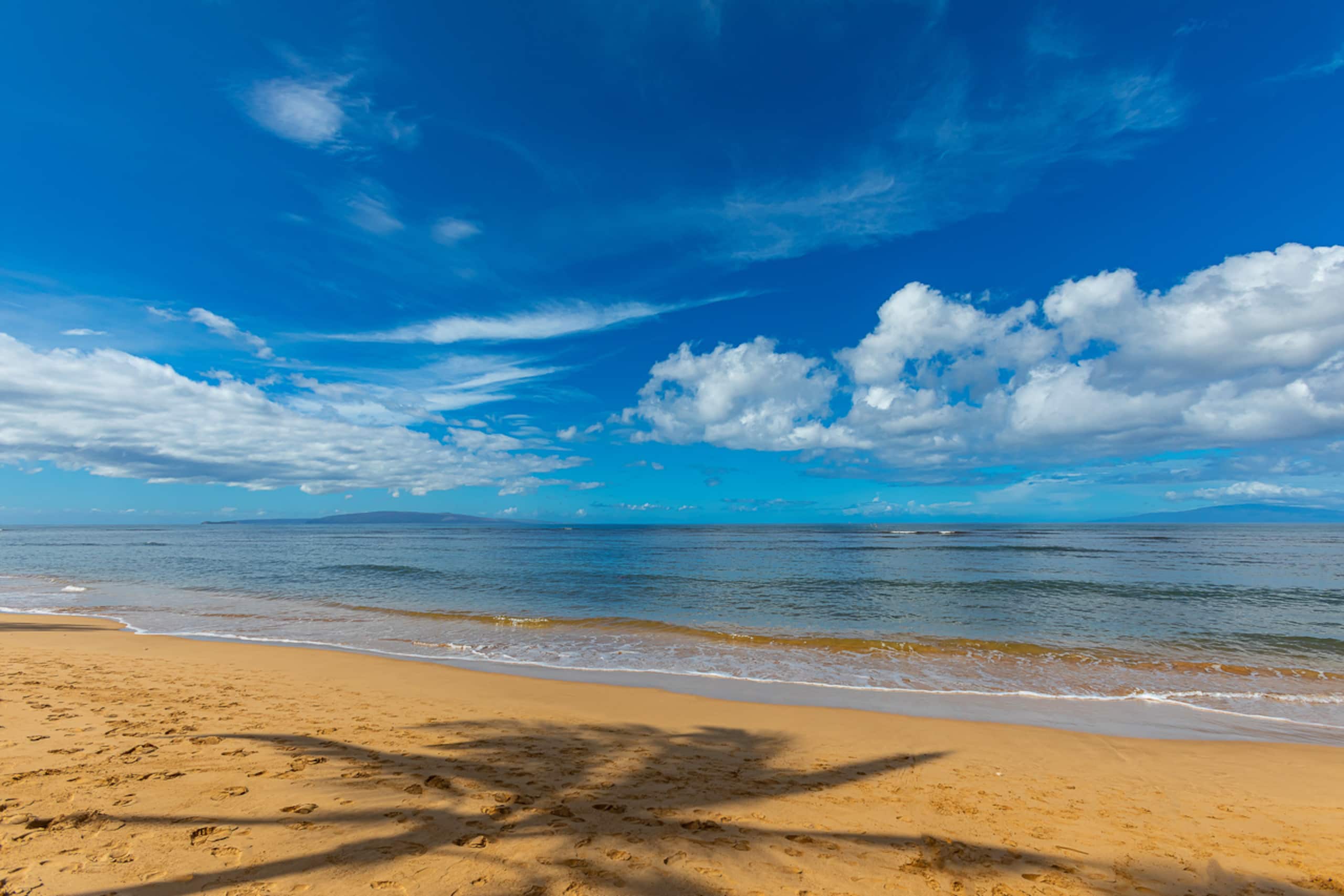 Home in Kihei · ★4.76 · 4 bedrooms · 9 beds · 3.5 baths - Image 66