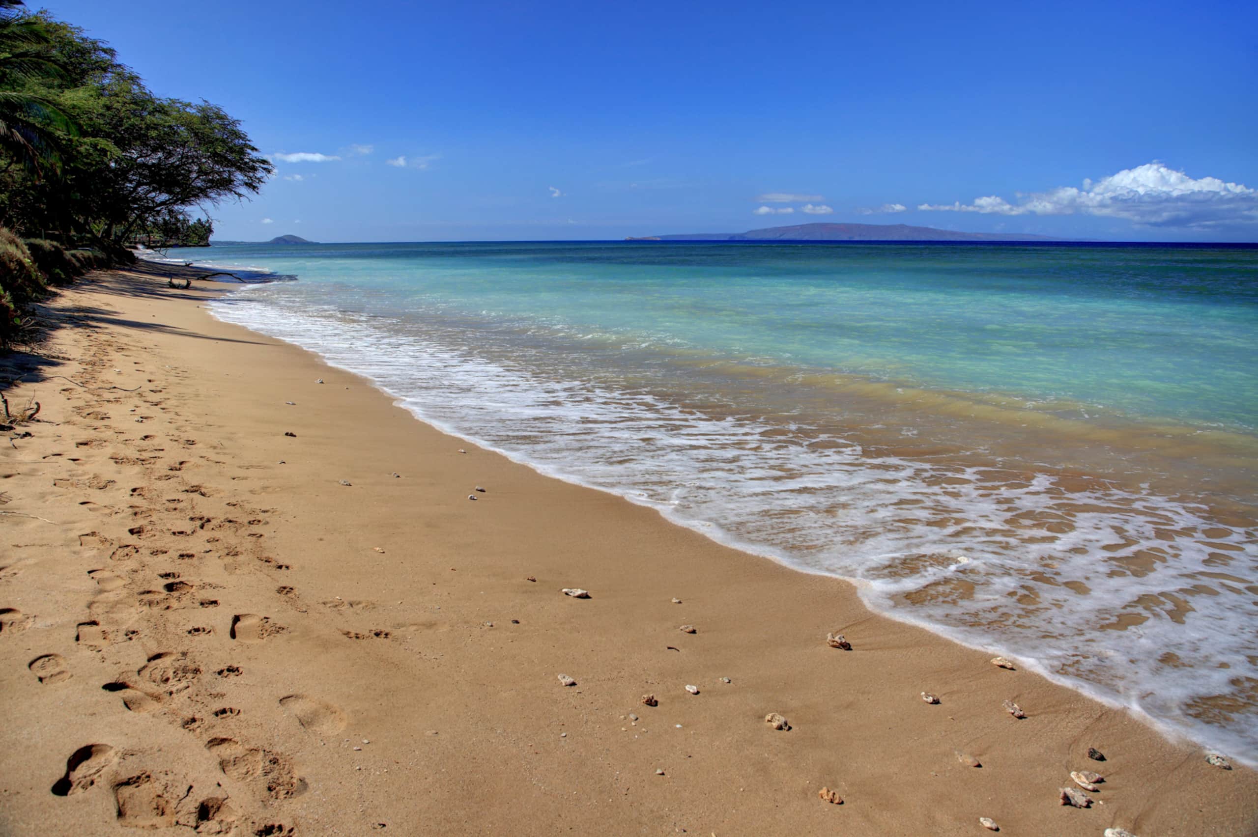 Home in Kihei · ★4.76 · 4 bedrooms · 9 beds · 3.5 baths - Image 16