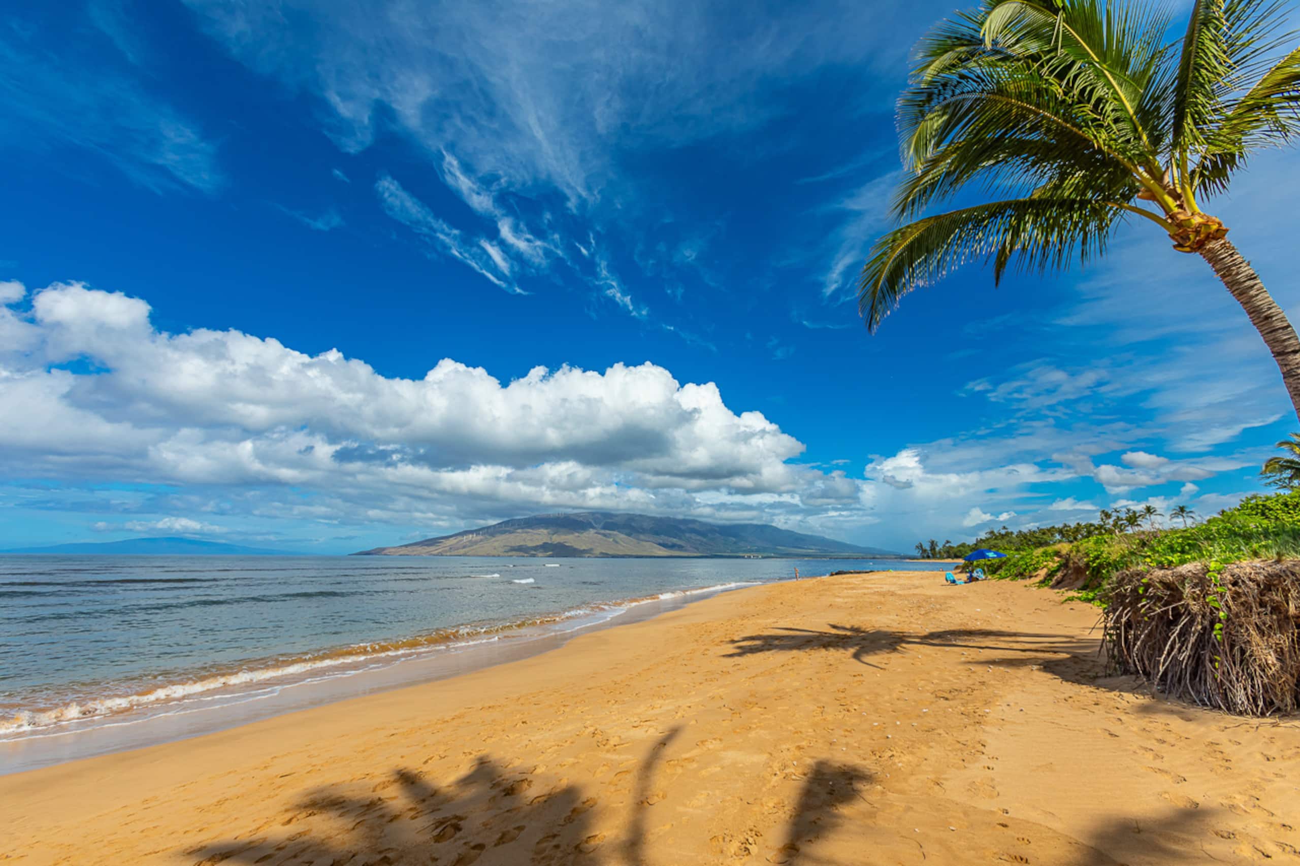Home in Kihei · ★4.76 · 4 bedrooms · 9 beds · 3.5 baths - Image 55