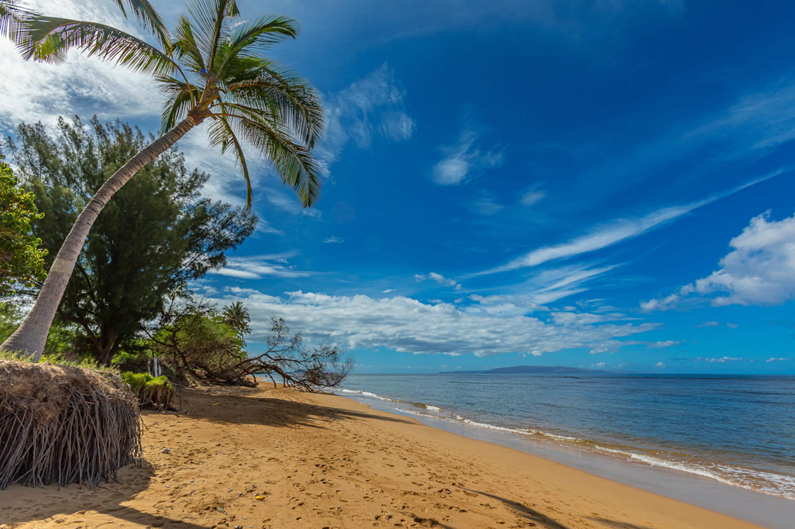 Home in Kihei · ★4.76 · 4 bedrooms · 9 beds · 3.5 baths - Image 53