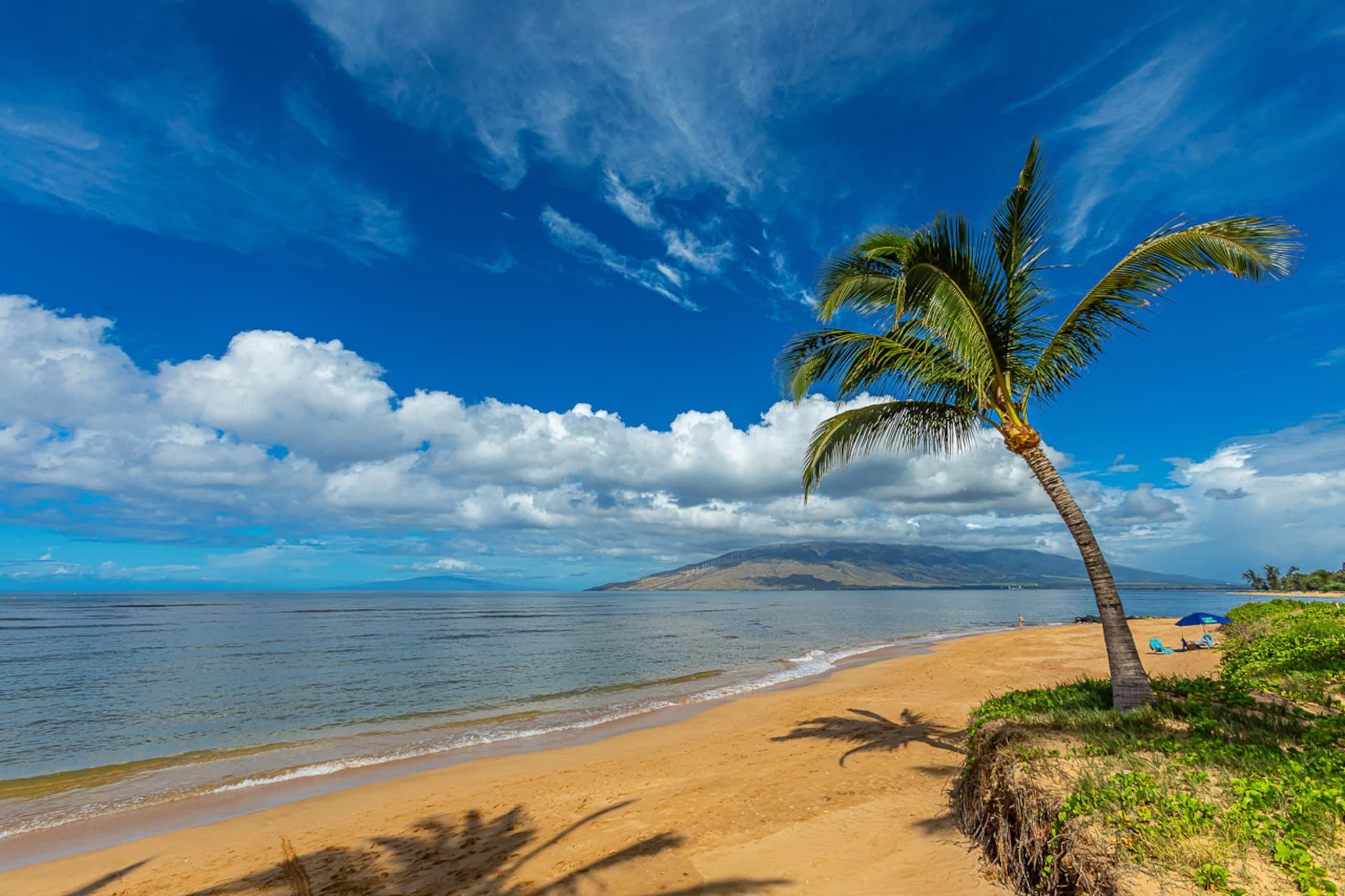 Home in Kihei · ★4.76 · 4 bedrooms · 9 beds · 3.5 baths - Image 54