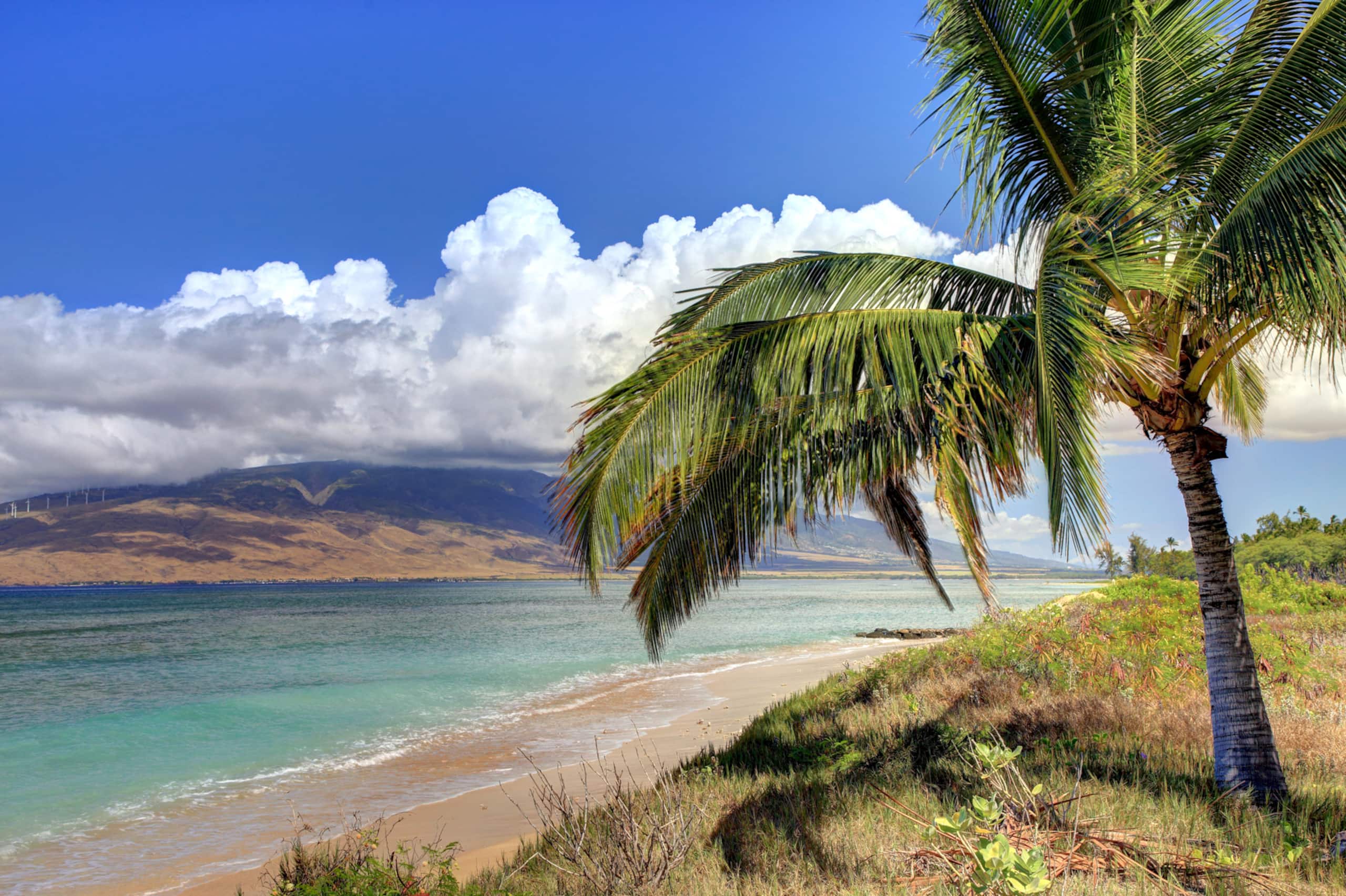 Home in Kihei · ★4.76 · 4 bedrooms · 9 beds · 3.5 baths - Image 17