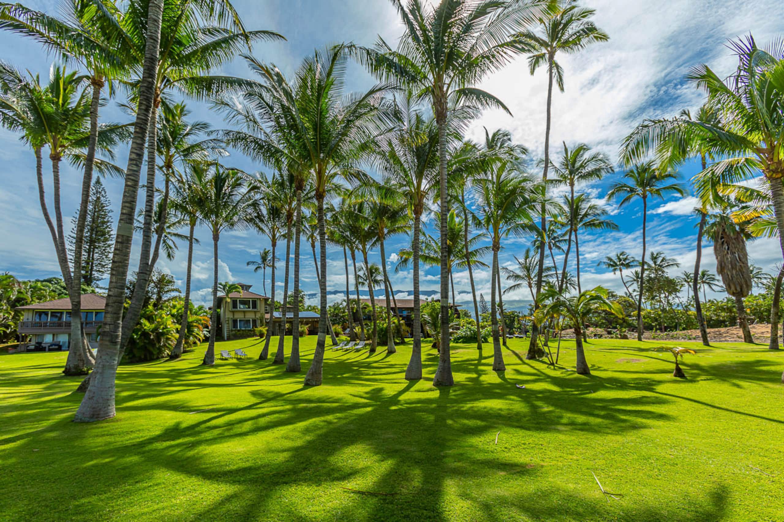 Home in Kihei · ★4.76 · 4 bedrooms · 9 beds · 3.5 baths - Image 52