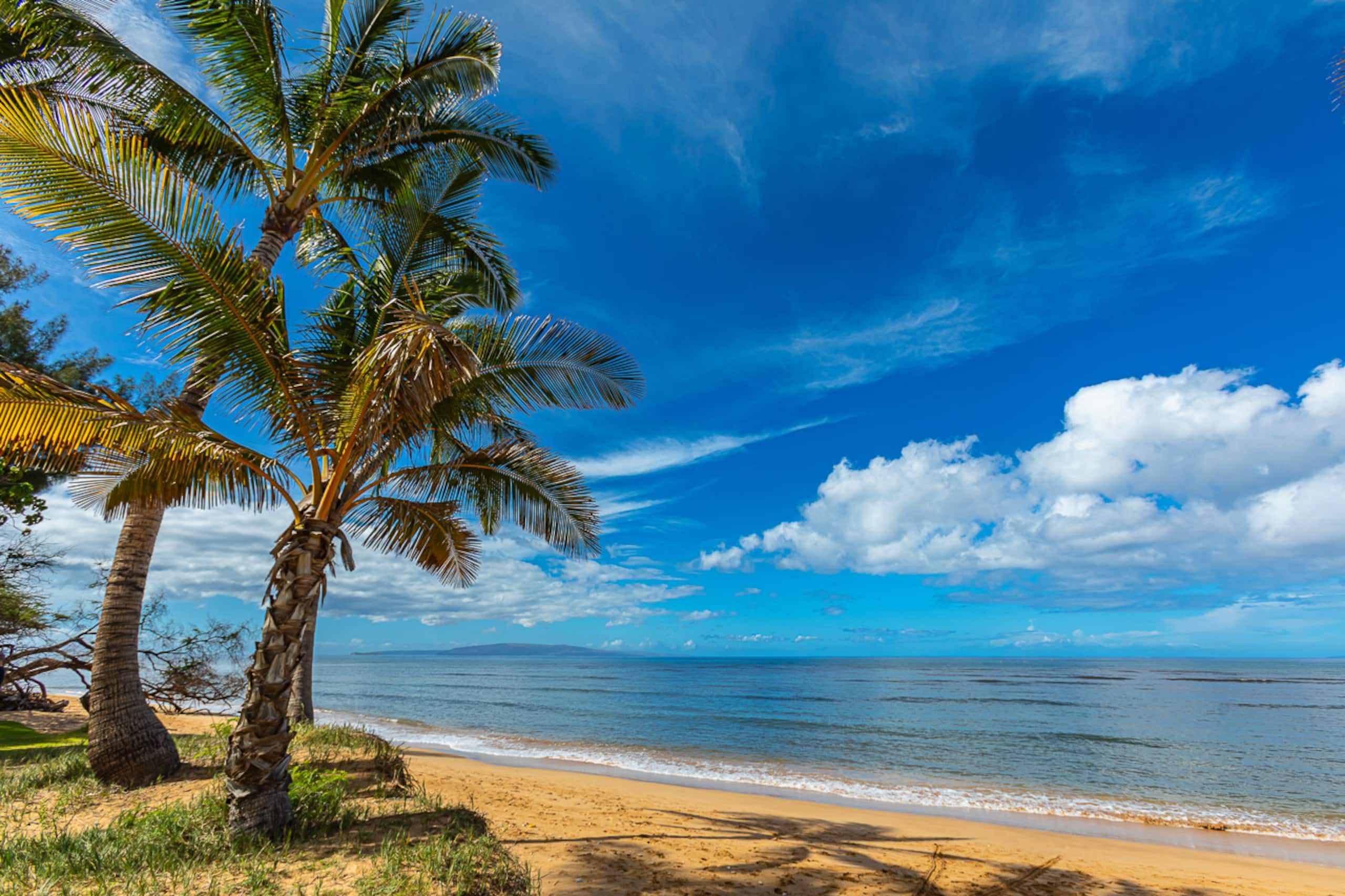 Home in Kihei · ★4.76 · 4 bedrooms · 9 beds · 3.5 baths - Image 59