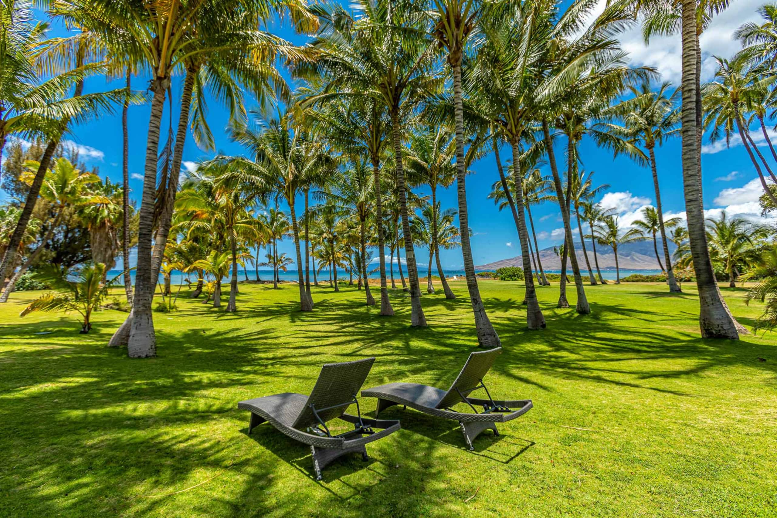 Home in Kihei · ★4.76 · 4 bedrooms · 9 beds · 3.5 baths - Image 6