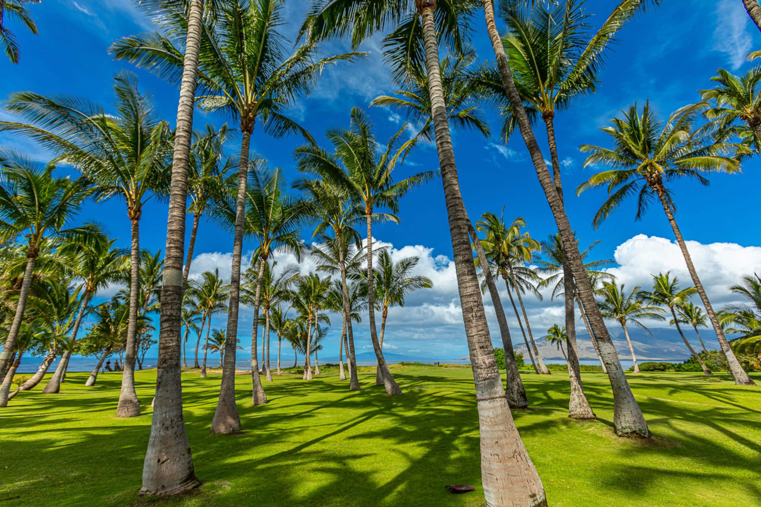 Home in Kihei · ★4.76 · 4 bedrooms · 9 beds · 3.5 baths - Image 62