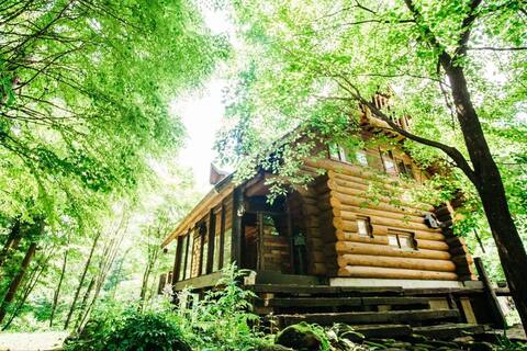 Sunnsnow  log house/ Hakuba Norikura with car