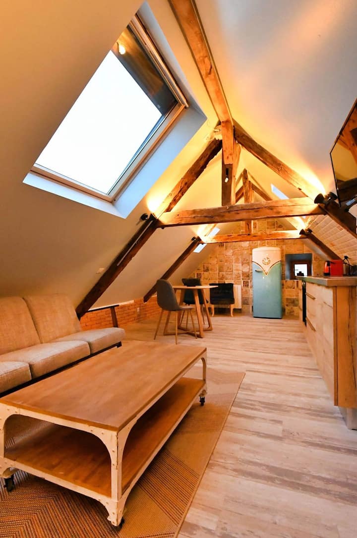 Le Loft - Appartements à louer à Rodez, Occitanie, France - Airbnb