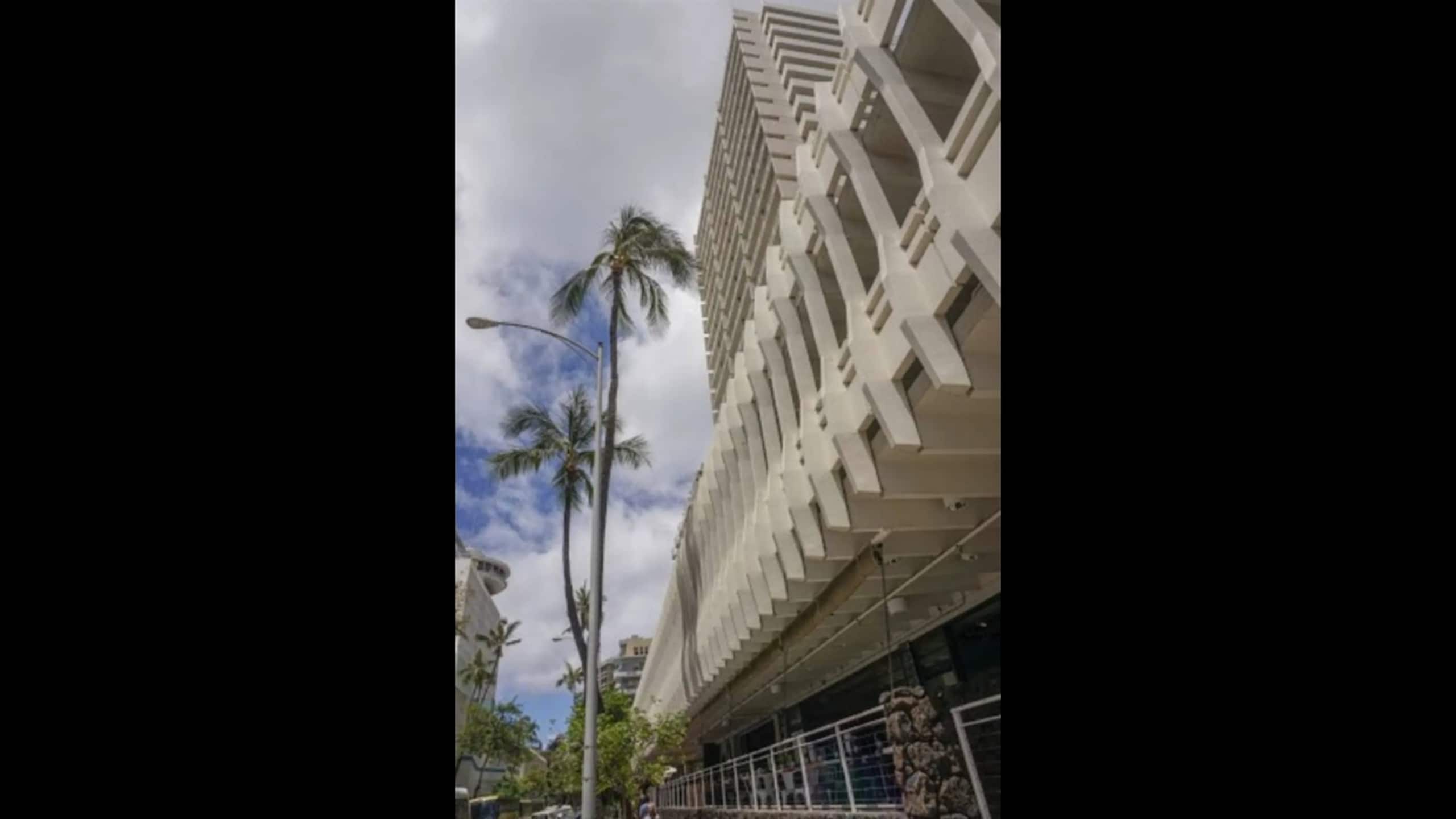 Condo in Honolulu · ★4.62 · 1 bedroom · 2 beds · 1 private bath - Image 14