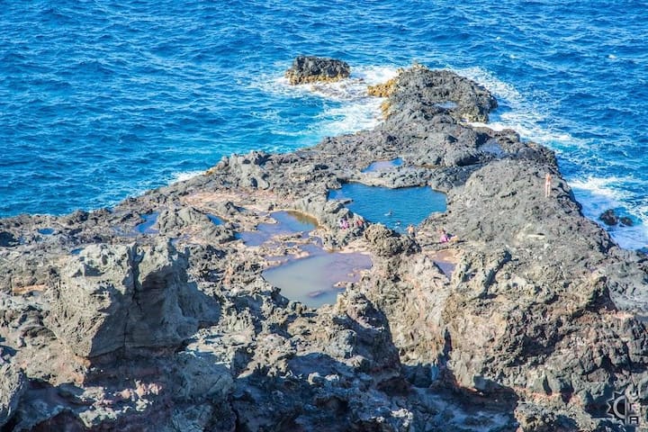 Escape Winter on Maui – Napili Gardens Getaway Com