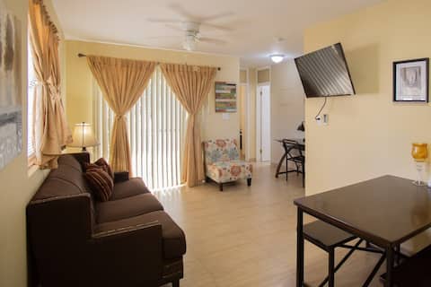 Oceanview 2BR/1BA - Unit 209 Ocean Villa