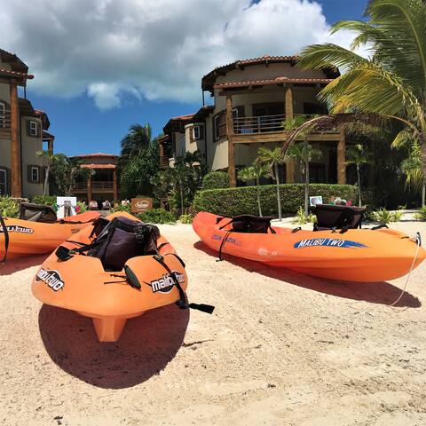 Stunning Beachfront Villa. Pool. Gourmet Kitchen. gallery image 4