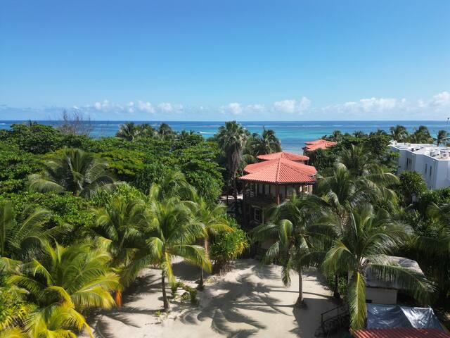 Stunning Beachfront Villa. Pool. Gourmet Kitchen. gallery image 2