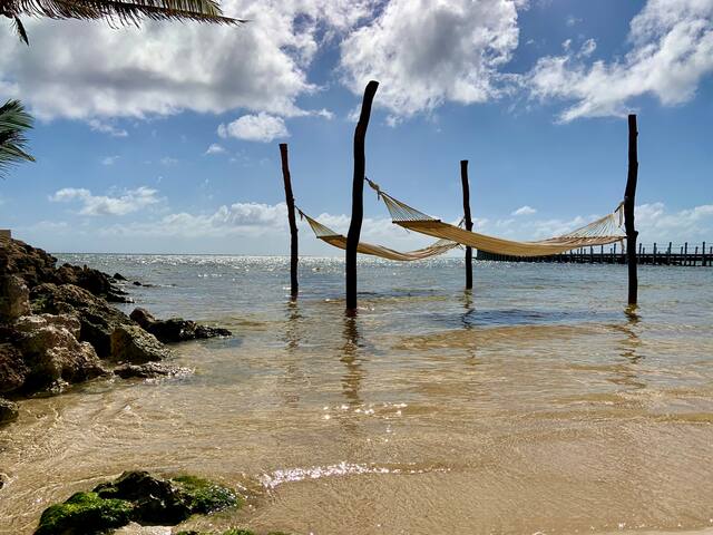 Stunning Beachfront Villa. Pool. Gourmet Kitchen. gallery image 5