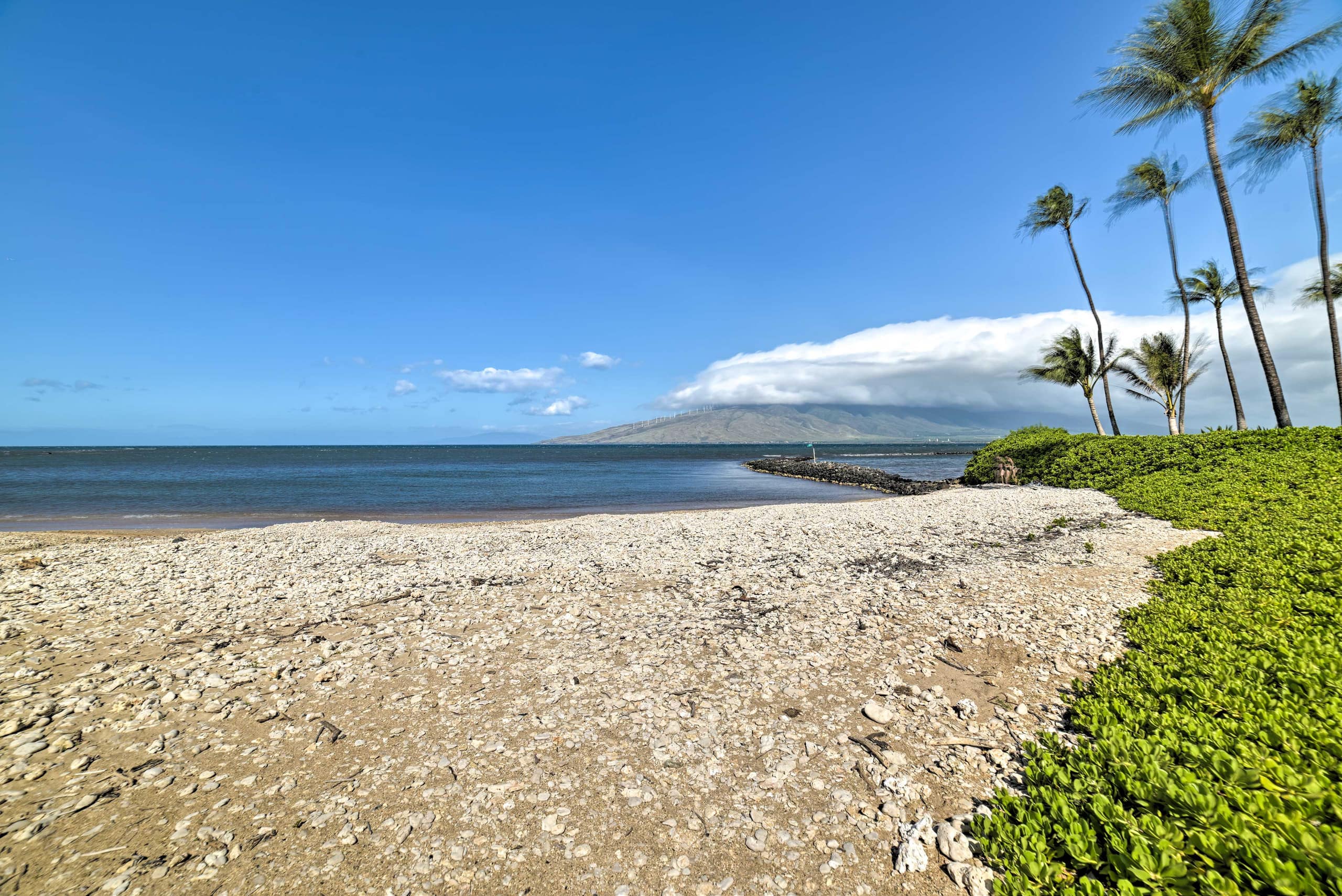 Condo in Kihei · ★4.81 · 2 bedrooms · 2 beds · 2 baths - Image 23